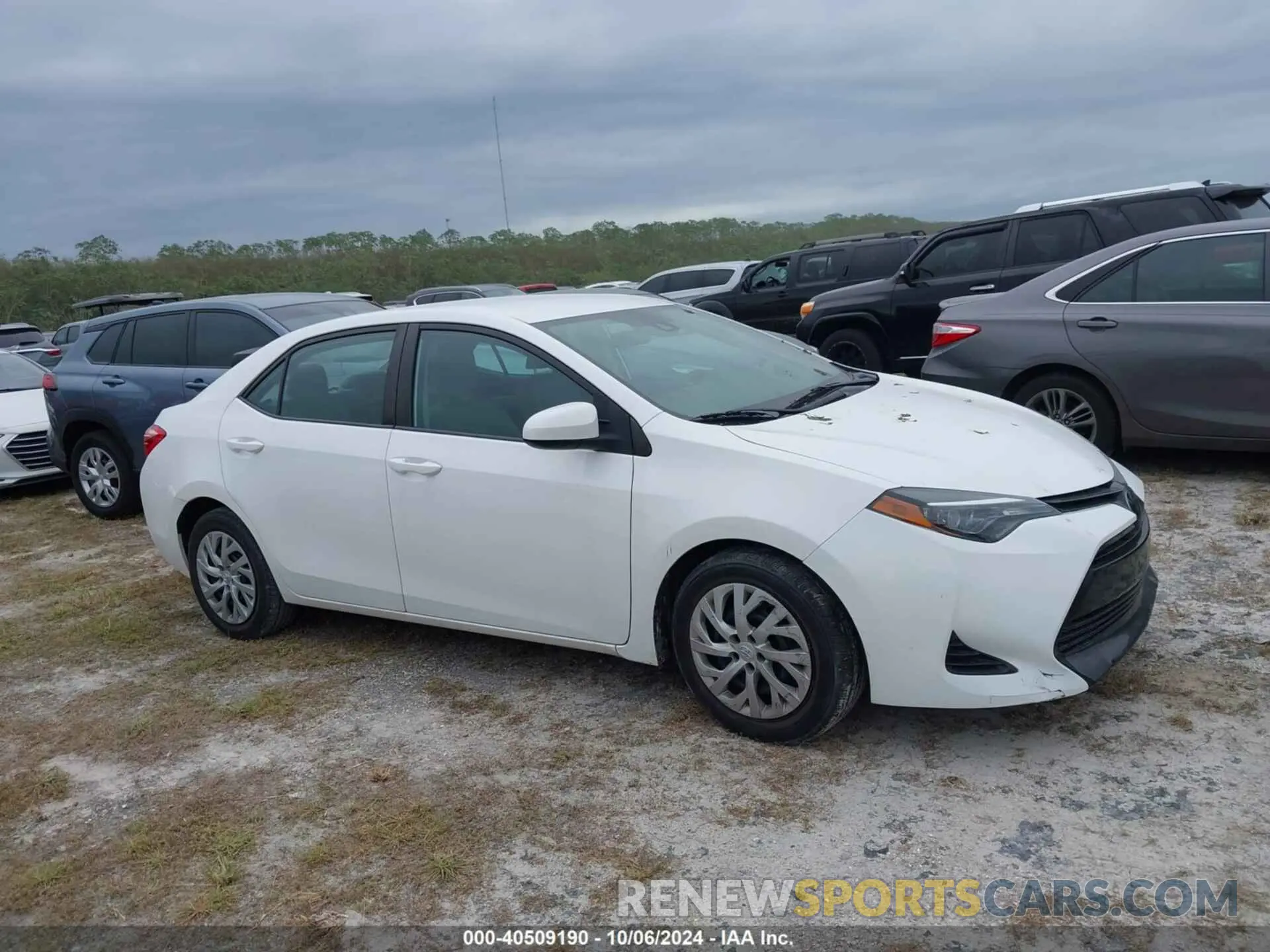 13 fotografías del automóvil dañado 2T1BURHE1KC226218 TOYOTA COROLLA 2019