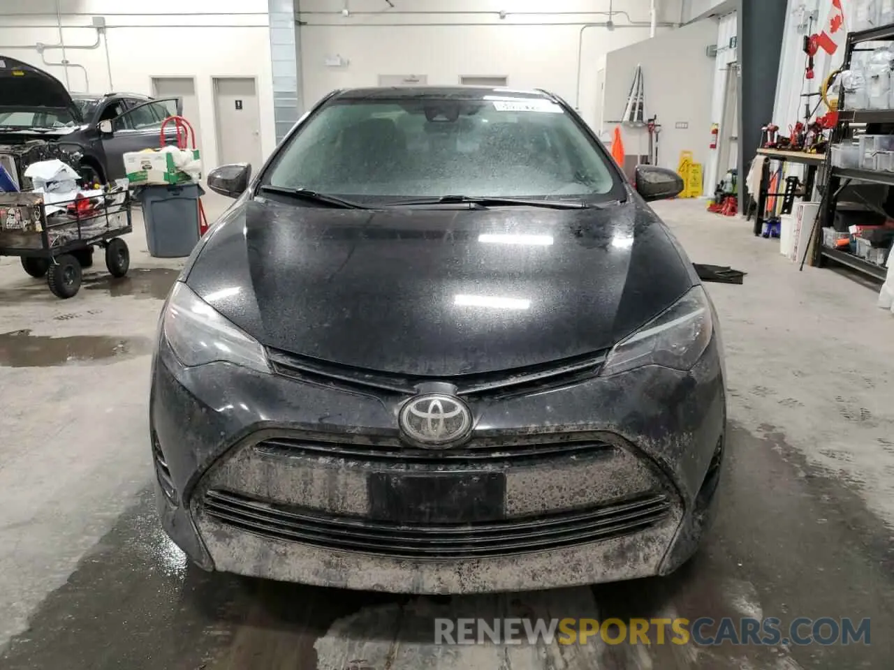 5 fotografías del automóvil dañado 2T1BURHE2KC136527 TOYOTA COROLLA 2019