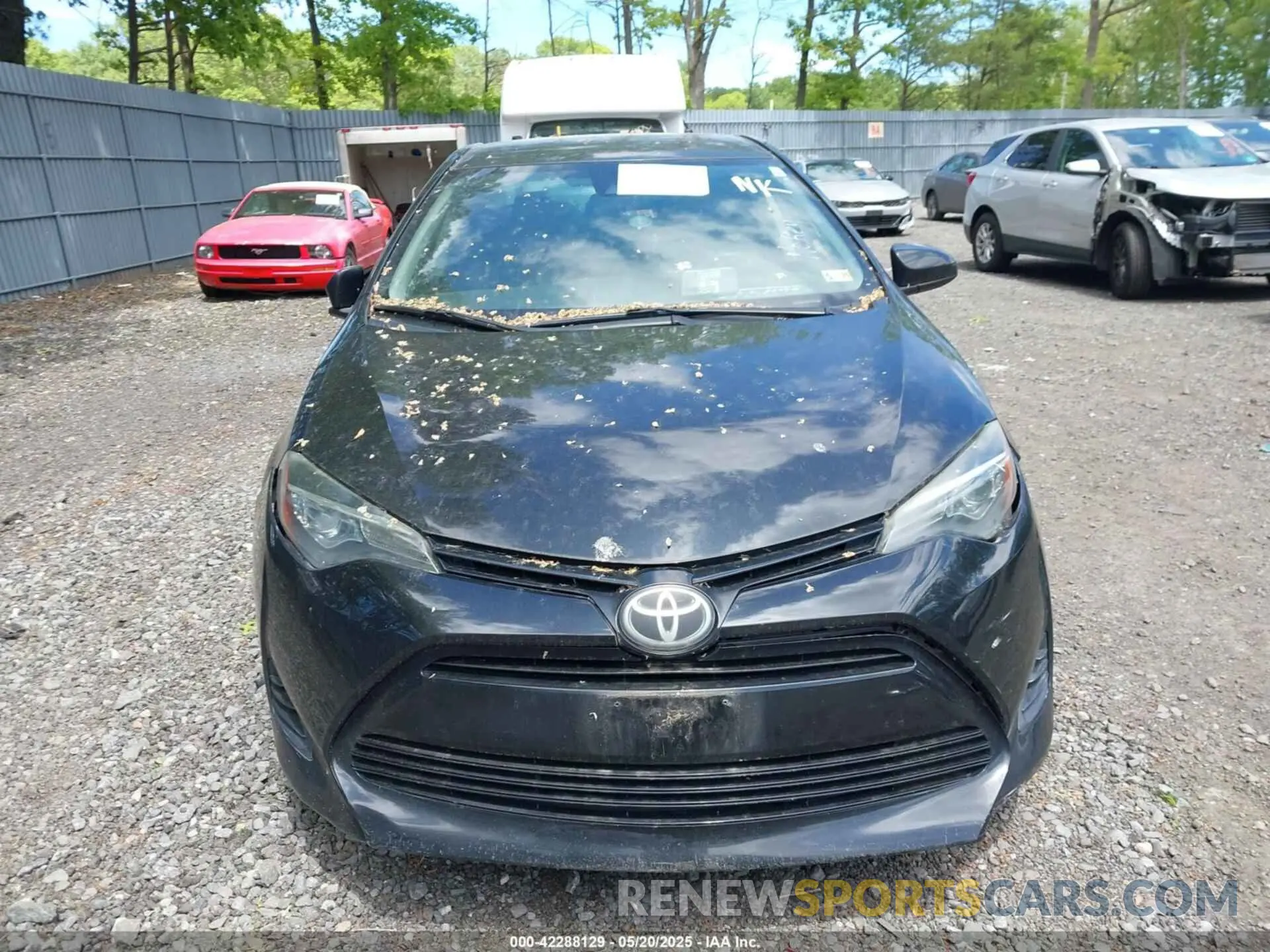 11 fotografías del automóvil dañado 2T1BURHE9KC183991 TOYOTA COROLLA 2019