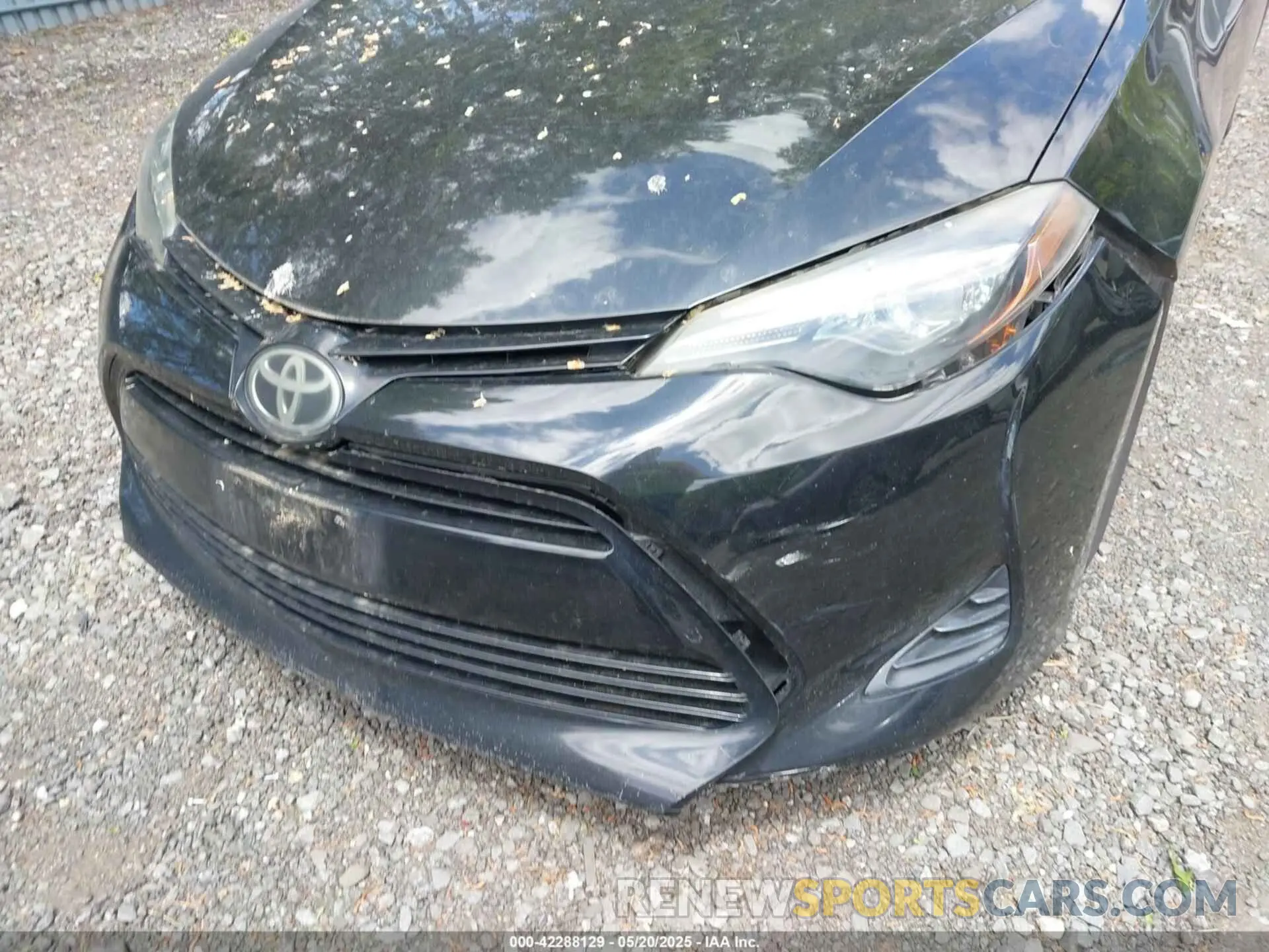6 fotografías del automóvil dañado 2T1BURHE9KC183991 TOYOTA COROLLA 2019