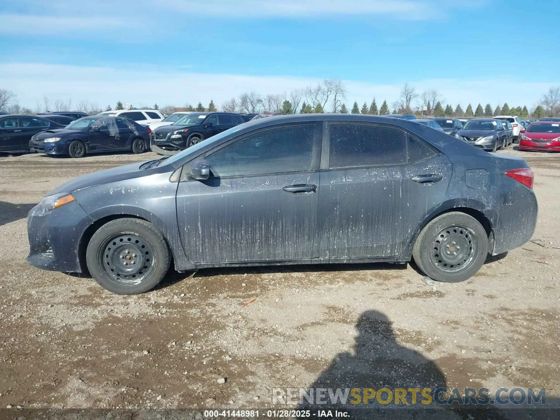 14 fotografías del automóvil dañado 2T1BURHEXKC244071 TOYOTA COROLLA 2019