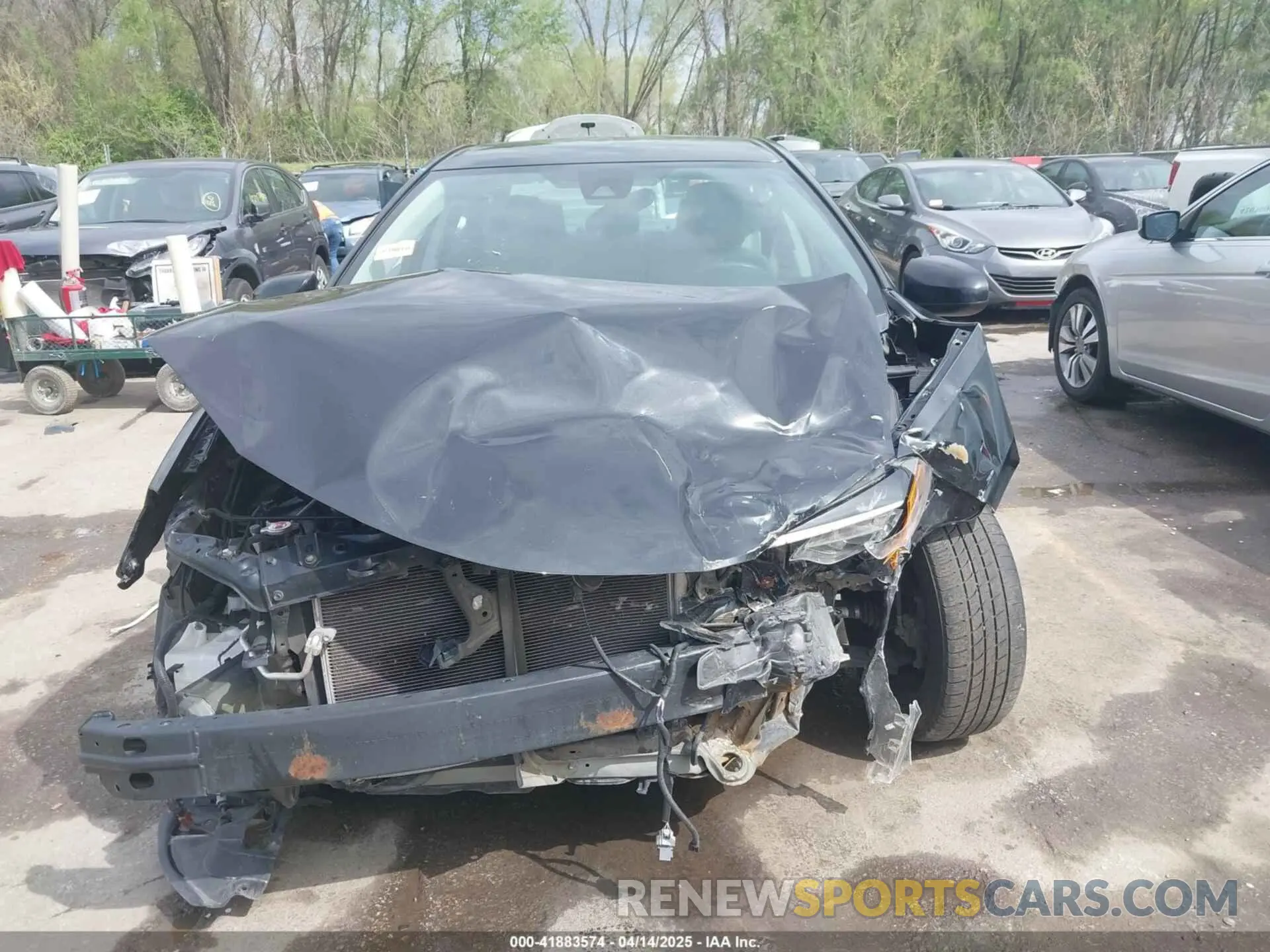 12 fotografías del automóvil dañado 5YFBURHE1KP933545 TOYOTA COROLLA 2019