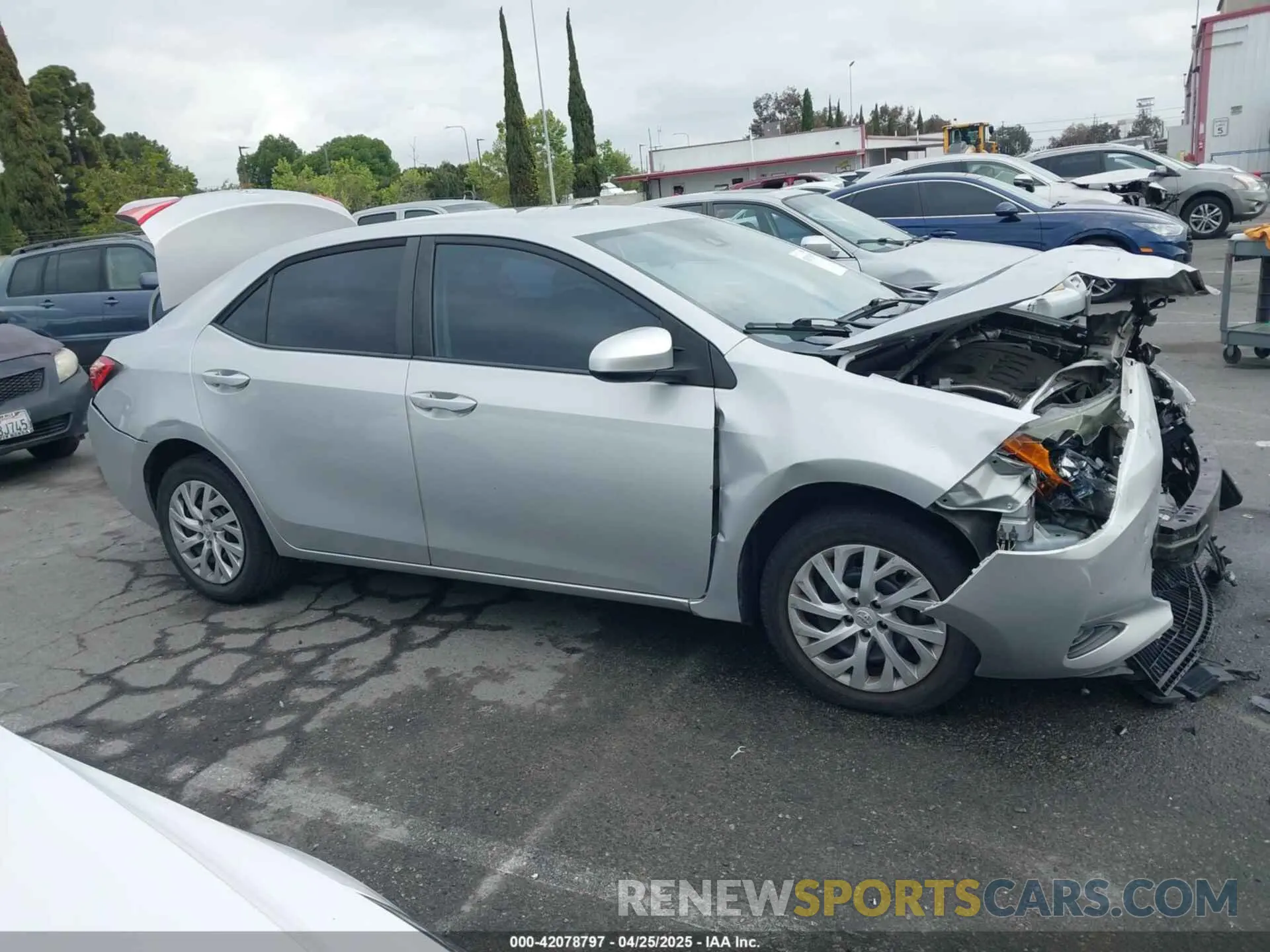 13 fotografías del automóvil dañado 5YFBURHE4KP929909 TOYOTA COROLLA 2019