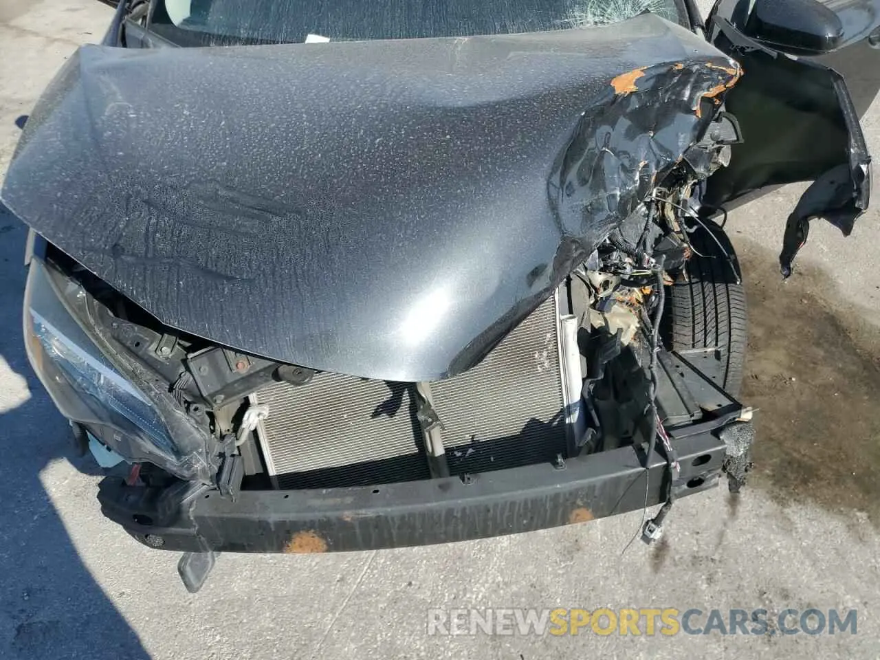 12 fotografías del automóvil dañado 5YFBURHE6KP922055 TOYOTA COROLLA 2019