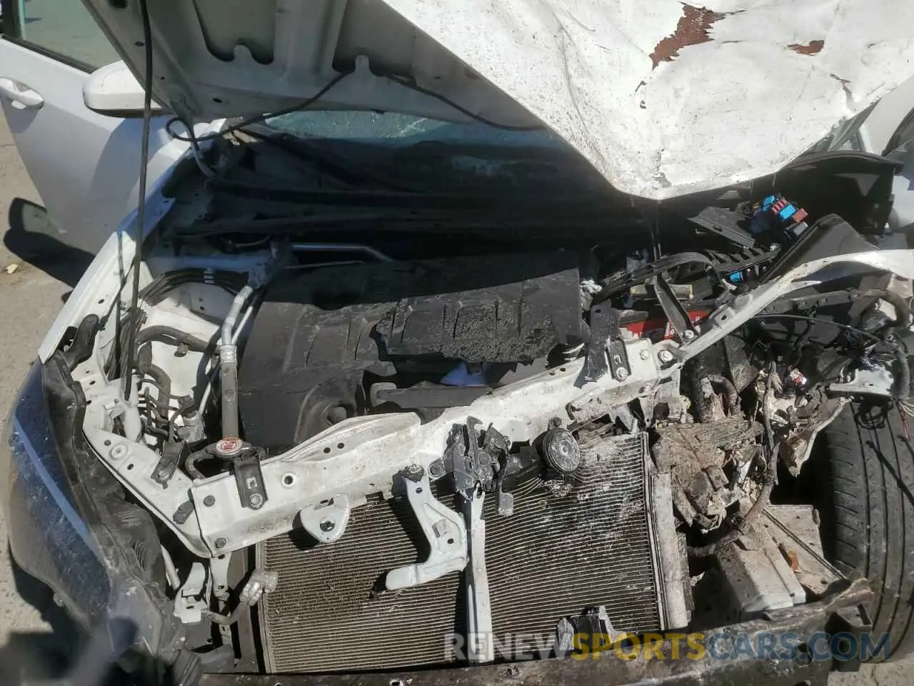 11 fotografías del automóvil dañado 5YFBURHE7KP891222 TOYOTA COROLLA 2019
