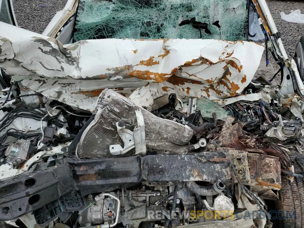 11 fotografías del automóvil dañado 5YFBURHE9KP912488 TOYOTA COROLLA 2019