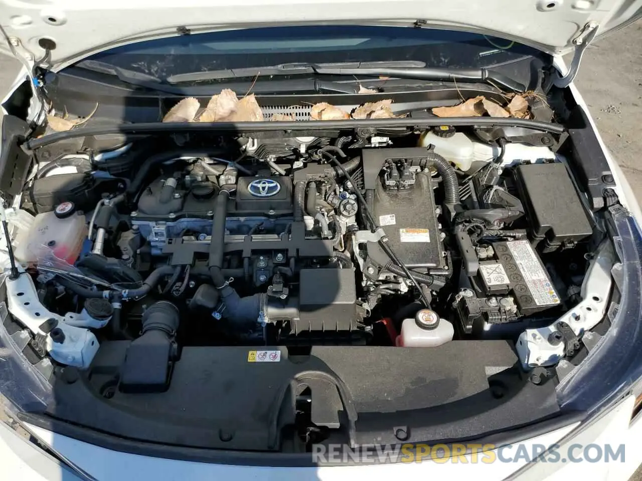 11 fotografías del automóvil dañado JTDEBRBEXLJ000440 TOYOTA COROLLA 2020