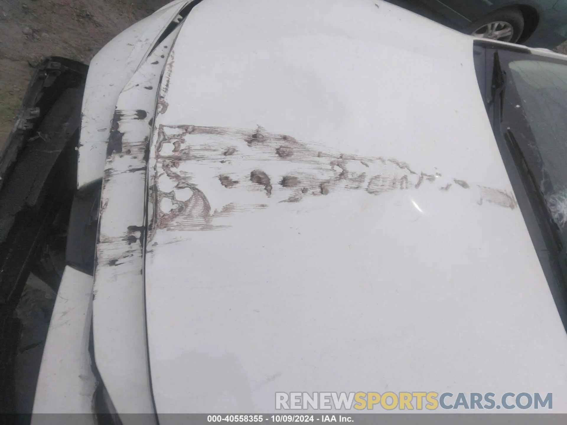 12 fotografías del automóvil dañado JTDEPRAE8LJ048330 TOYOTA COROLLA 2020
