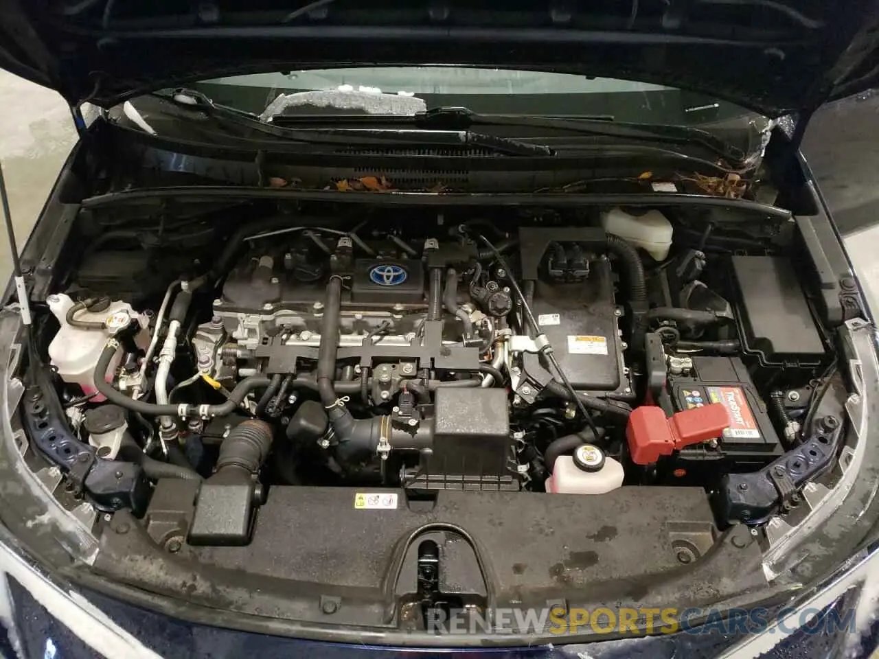11 fotografías del automóvil dañado JTDEAMDE5MJ033320 TOYOTA COROLLA 2021
