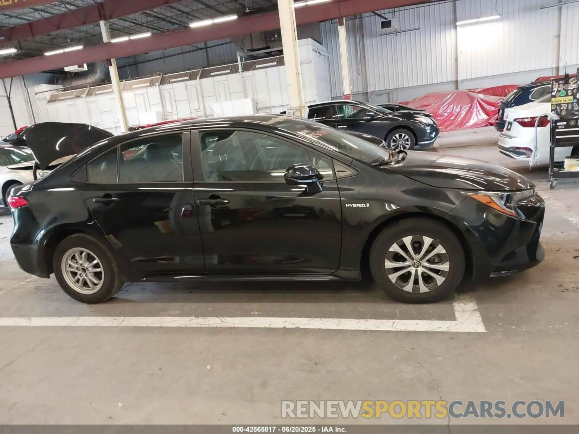 13 fotografías del automóvil dañado JTDEAMDE9MJ000577 TOYOTA COROLLA 2021