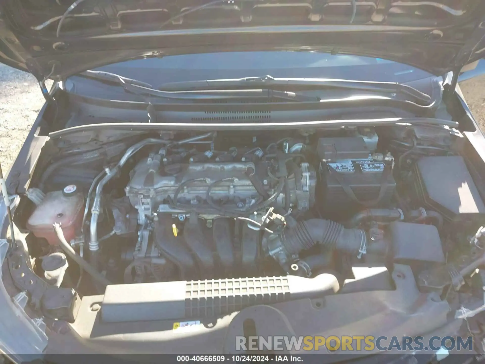 10 fotografías del automóvil dañado JTDEPMAEXMJ134498 TOYOTA COROLLA 2021