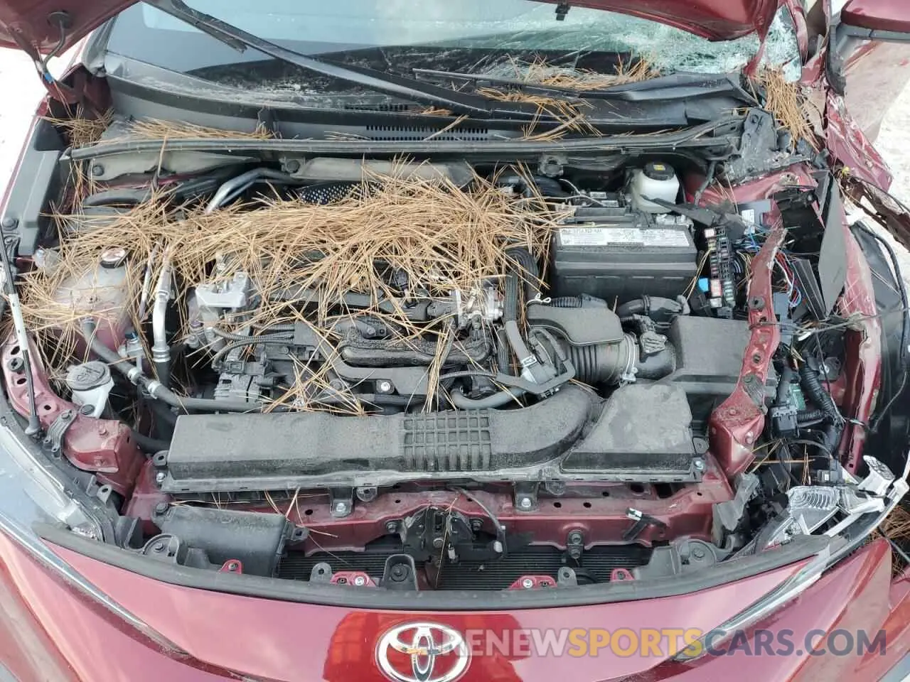 11 fotografías del automóvil dañado 5YFM4MCE8NP104379 TOYOTA COROLLA 2022