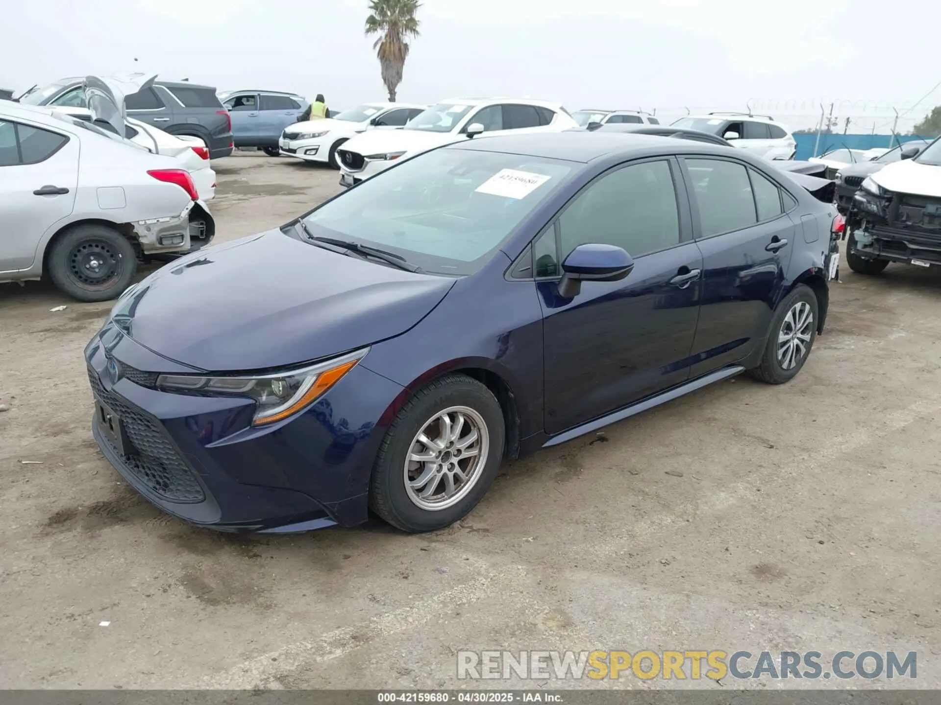 2 fotografías del automóvil dañado JTDEAMDE2NJ051761 TOYOTA COROLLA 2022