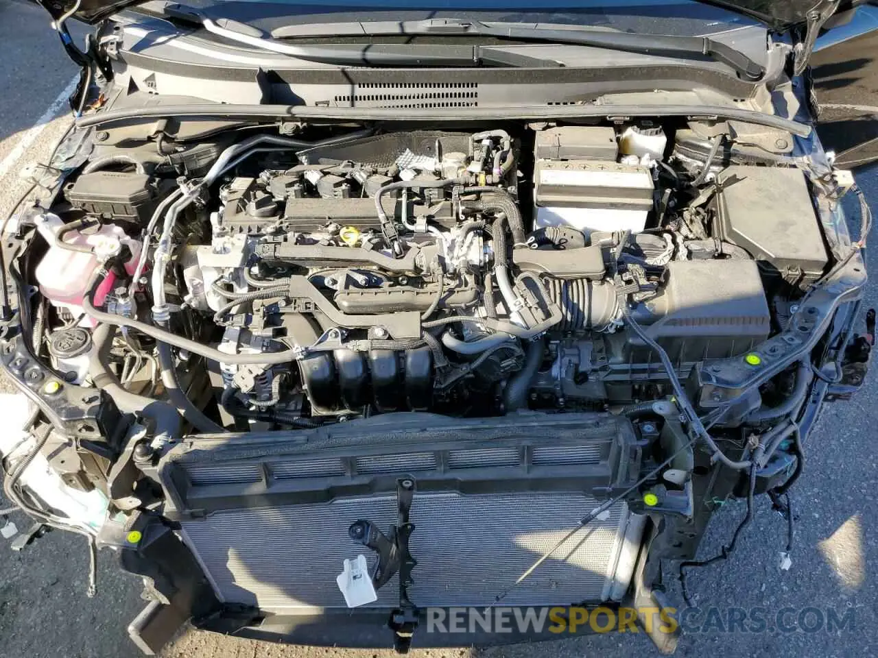 11 fotografías del automóvil dañado JTNC4MBE1P3203677 TOYOTA COROLLA 2023