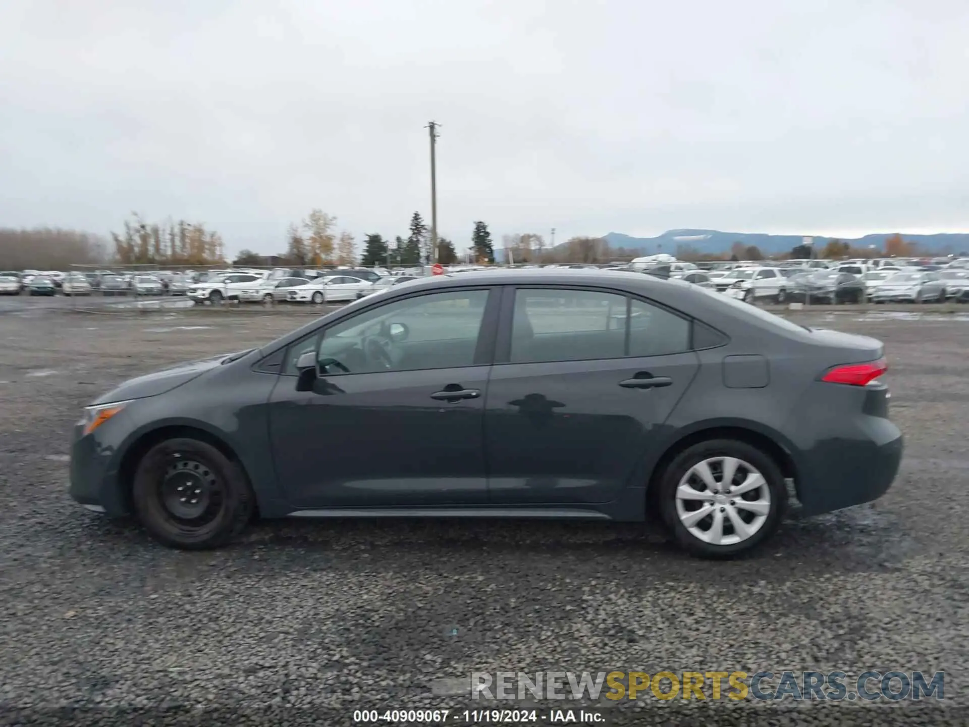 14 fotografías del automóvil dañado 5YFB4MDE6RP189900 TOYOTA COROLLA 2024