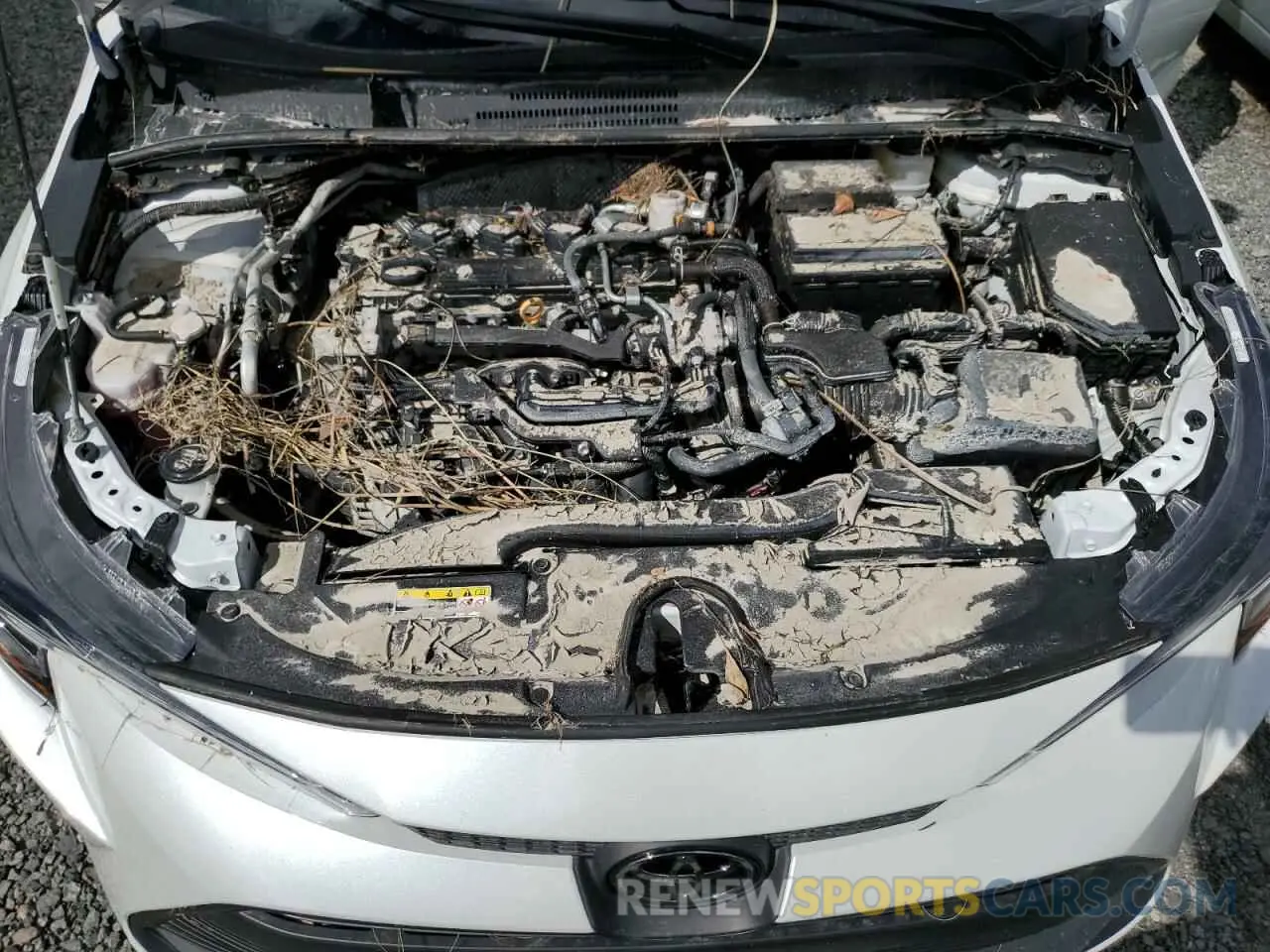 11 fotografías del automóvil dañado 5YFB4MDE8RP115524 TOYOTA COROLLA 2024