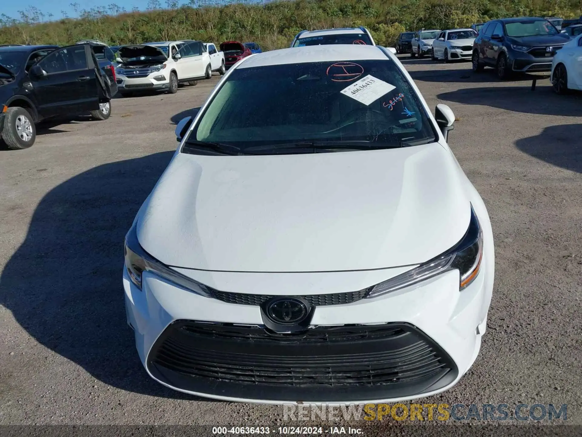 12 fotografías del automóvil dañado 5YFB4MDE9RP209010 TOYOTA COROLLA 2024