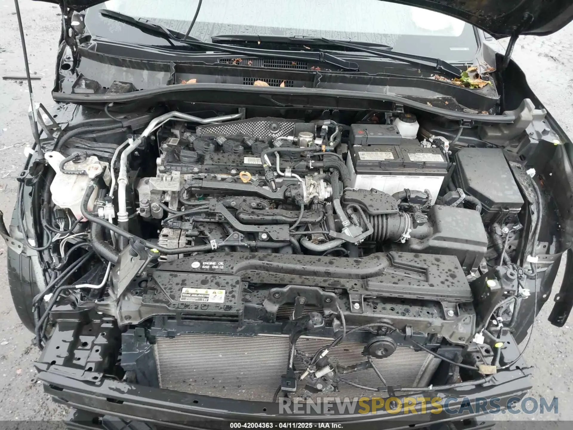 10 fotografías del automóvil dañado 7MUBAABG1NV024095 TOYOTA COROLLA CROSS 2022