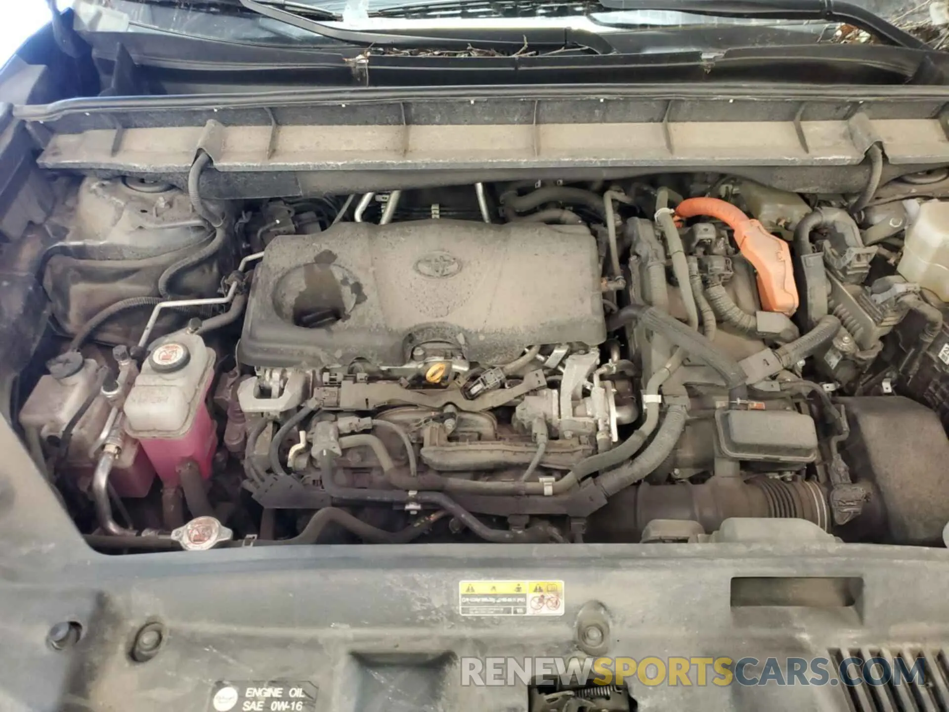 13 fotografías del automóvil dañado 5TDHBRCH5MS067330 TOYOTA HIGHLANDER 2021
