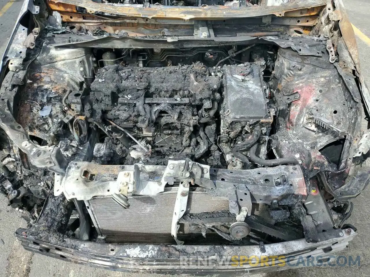 11 fotografías del automóvil dañado JTDKARFP1K3115061 TOYOTA PRIUS 2019