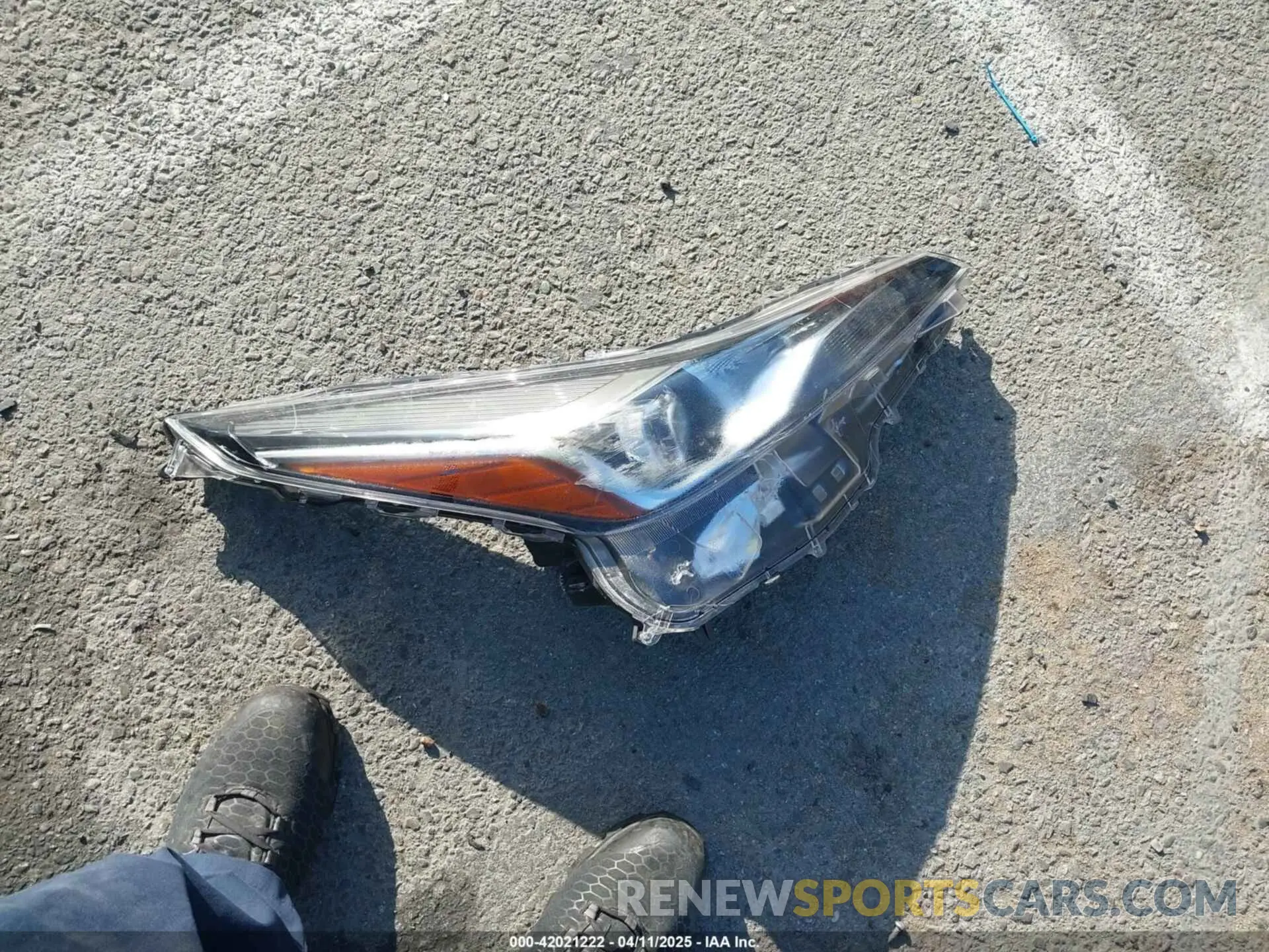 12 fotografías del automóvil dañado JTDKAMFU8N3188831 TOYOTA PRIUS 2022