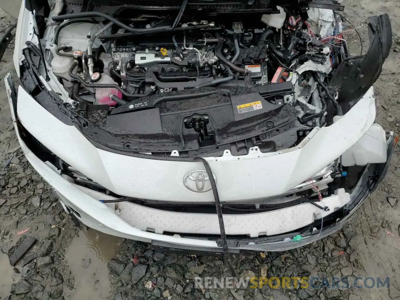 11 fotografías del automóvil dañado JTDACAAU0R3019131 TOYOTA PRIUS 2024