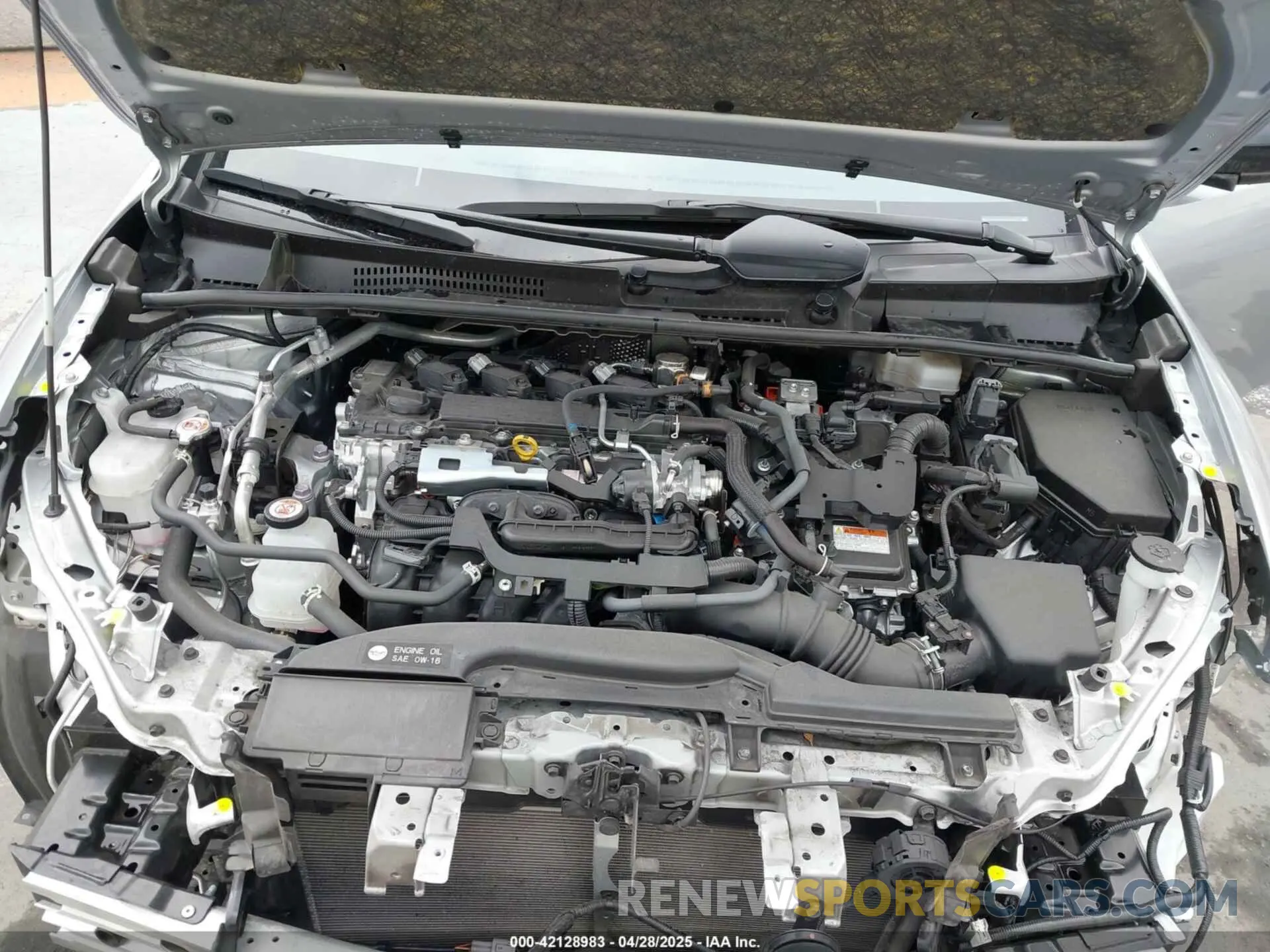 10 fotografías del automóvil dañado JTDACAAU2R3019020 TOYOTA PRIUS 2024