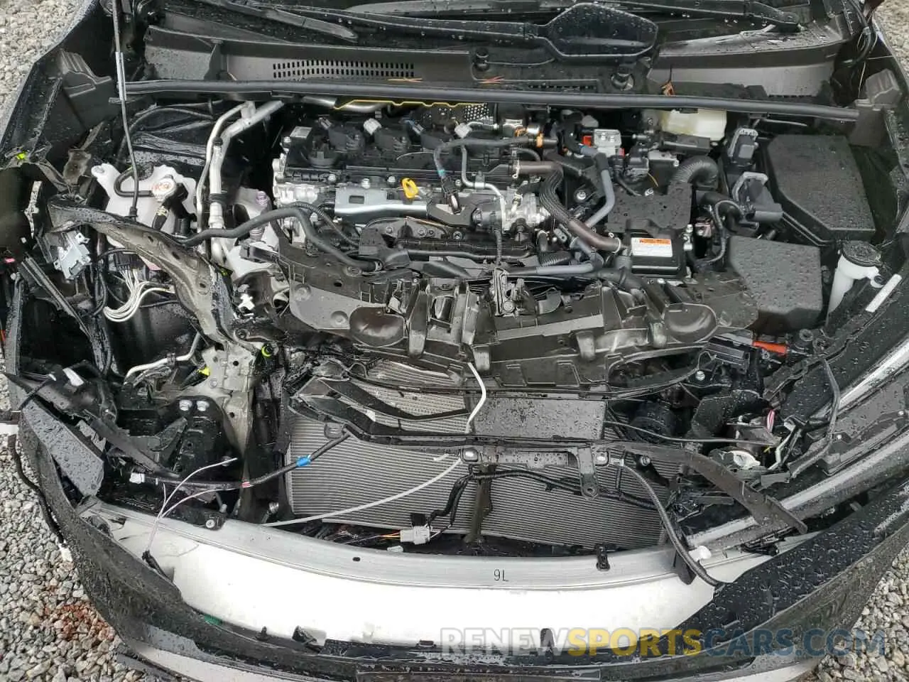 11 fotografías del automóvil dañado JTDACAAU4R3038376 TOYOTA PRIUS 2024