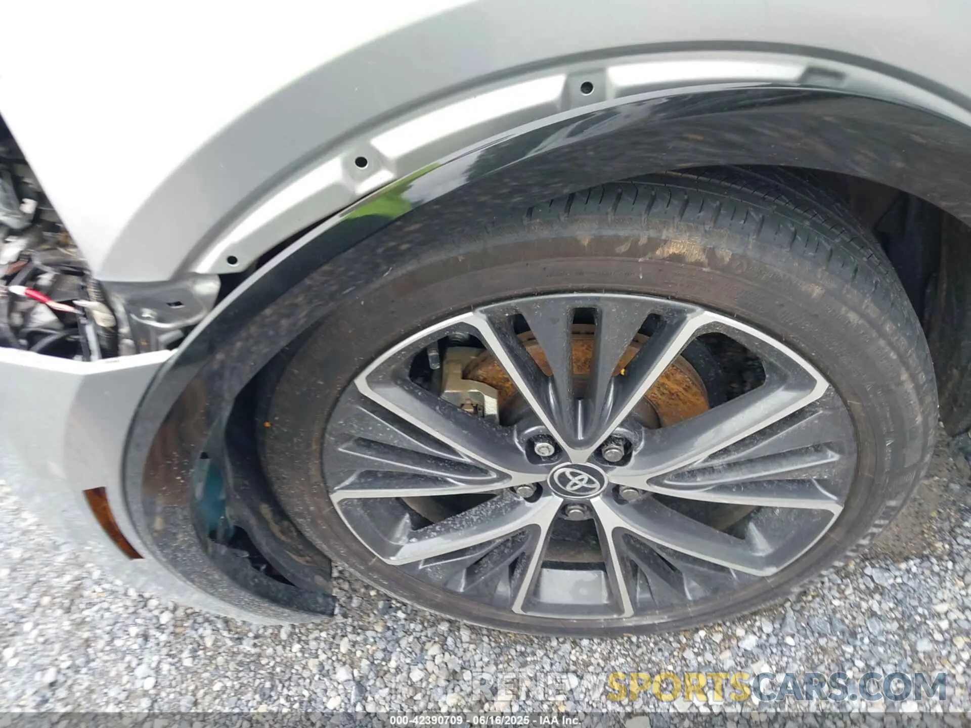 12 fotografías del automóvil dañado JTDACAAU8R3030619 TOYOTA PRIUS 2024