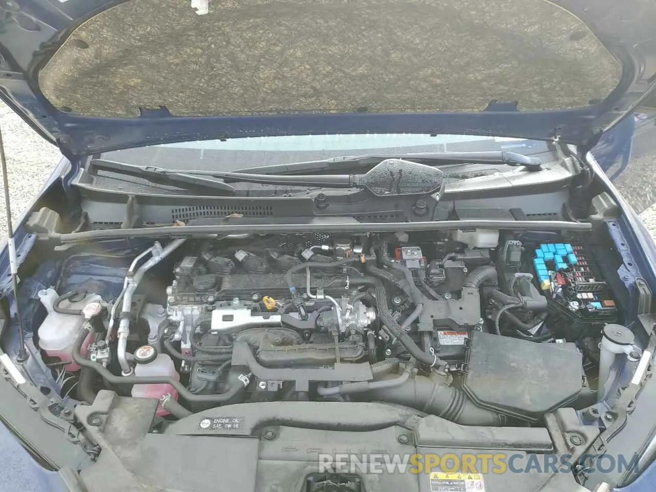 11 fotografías del automóvil dañado JTDACAAU9R3024876 TOYOTA PRIUS 2024
