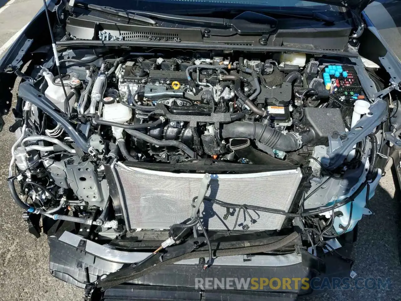 11 fotografías del automóvil dañado JTDACACU2R3026028 TOYOTA PRIUS 2024
