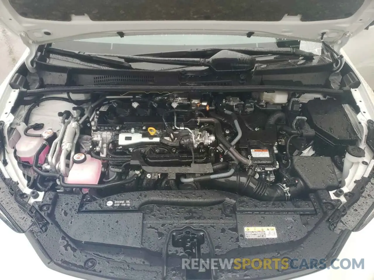 11 fotografías del automóvil dañado JTDACACU6R3013511 TOYOTA PRIUS 2024