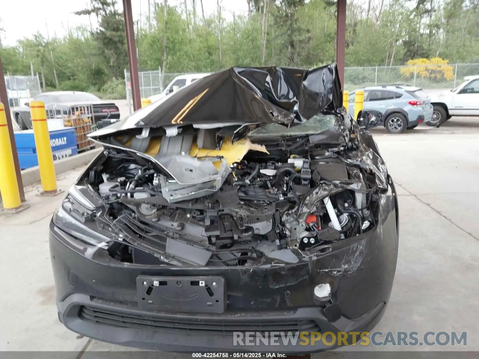 12 fotografías del automóvil dañado JTDADABU1R3019635 TOYOTA PRIUS 2024