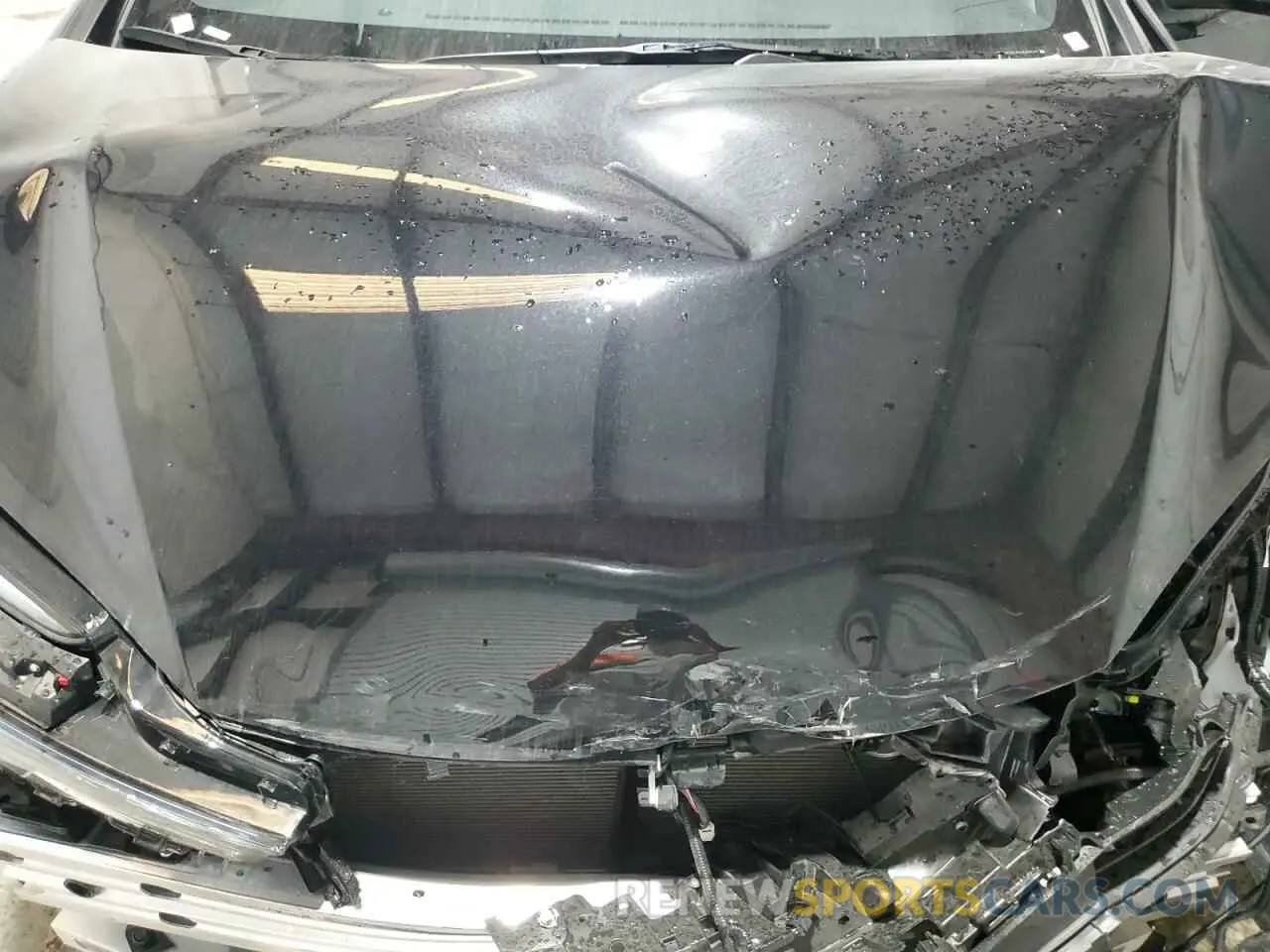 11 fotografías del automóvil dañado JTDACAAU4S3053109 TOYOTA PRIUS 2025