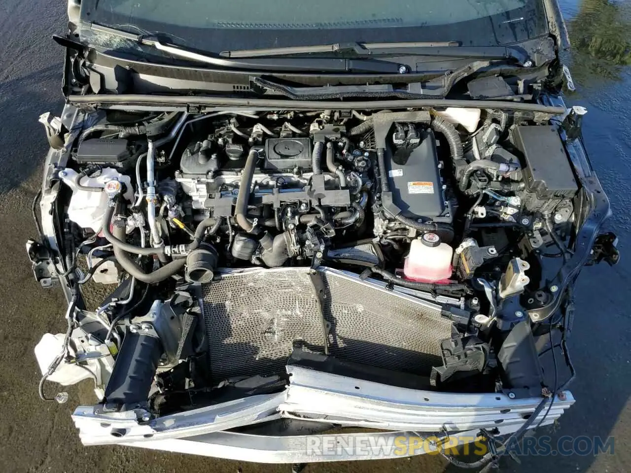 11 fotografías del automóvil dañado JTDKAMFU1N3179050 TOYOTA PRIUS NIGH 2022