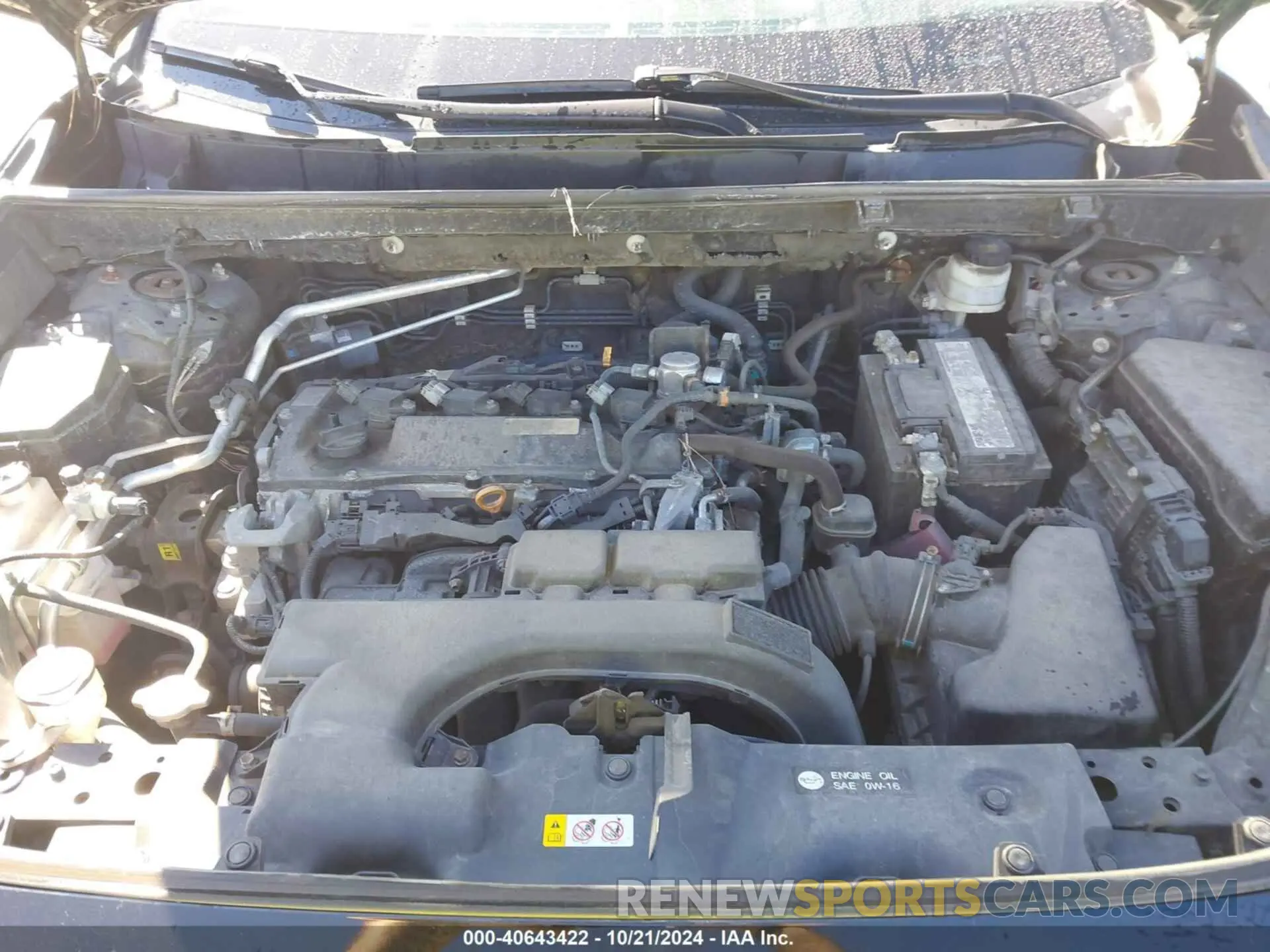 10 fotografías del automóvil dañado 2T3A1RFV1KW078522 TOYOTA RAV4 2019