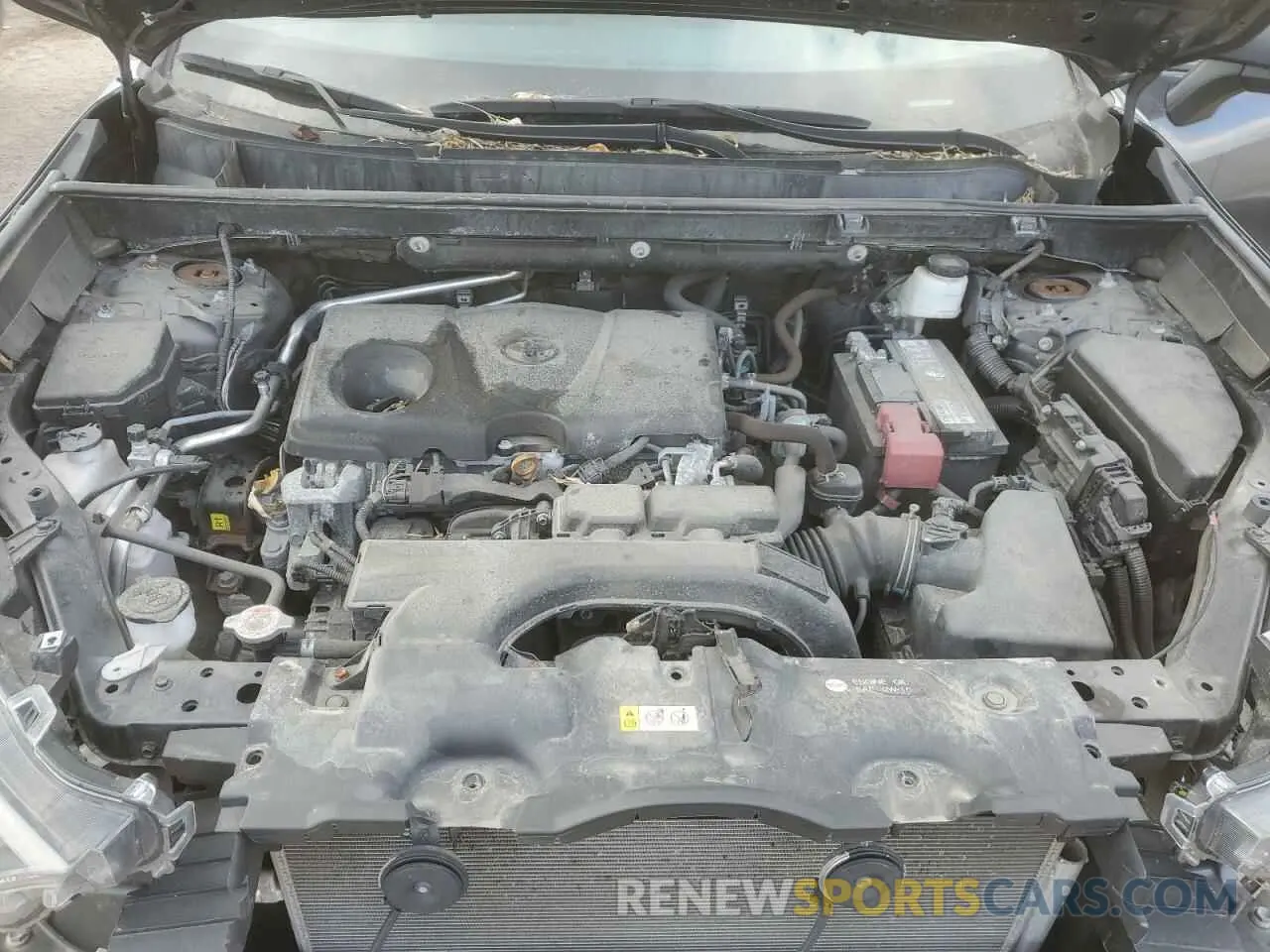 12 fotografías del automóvil dañado 2T3B1RFV0KW018655 TOYOTA RAV4 2019