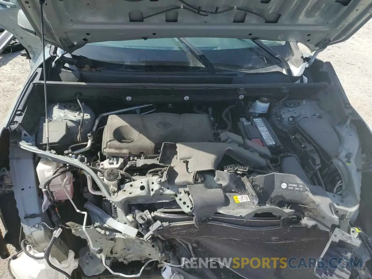 12 fotografías del automóvil dañado 2T3C1RFV7KW025588 TOYOTA RAV4 2019