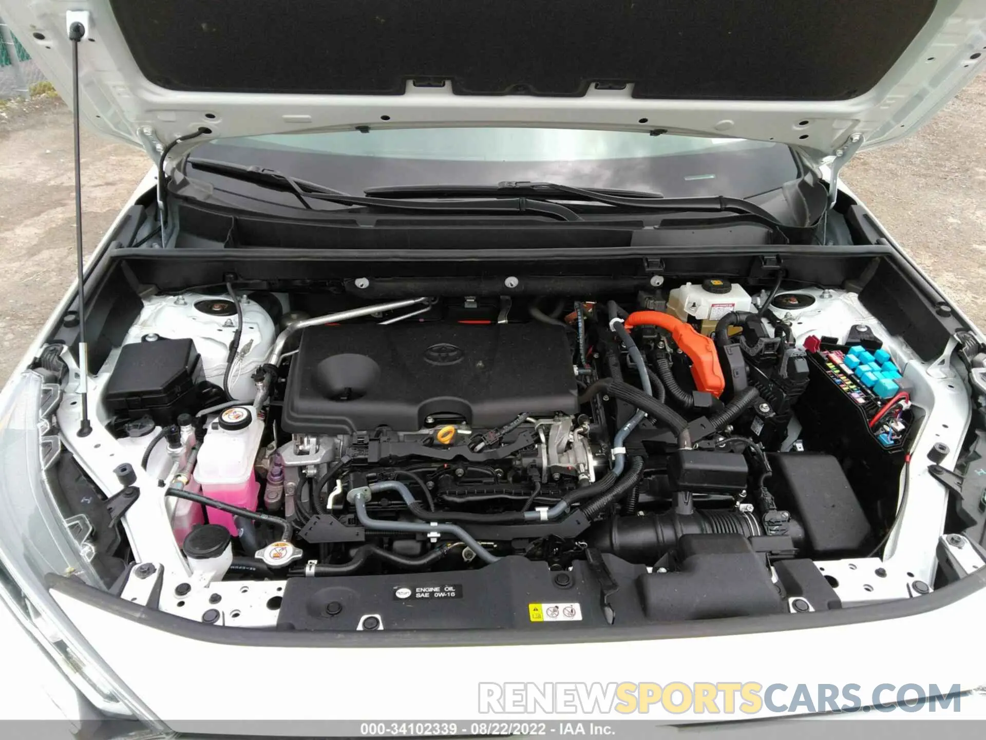 10 fotografías del automóvil dañado 2T3DWRFV4KW018703 TOYOTA RAV4 2019