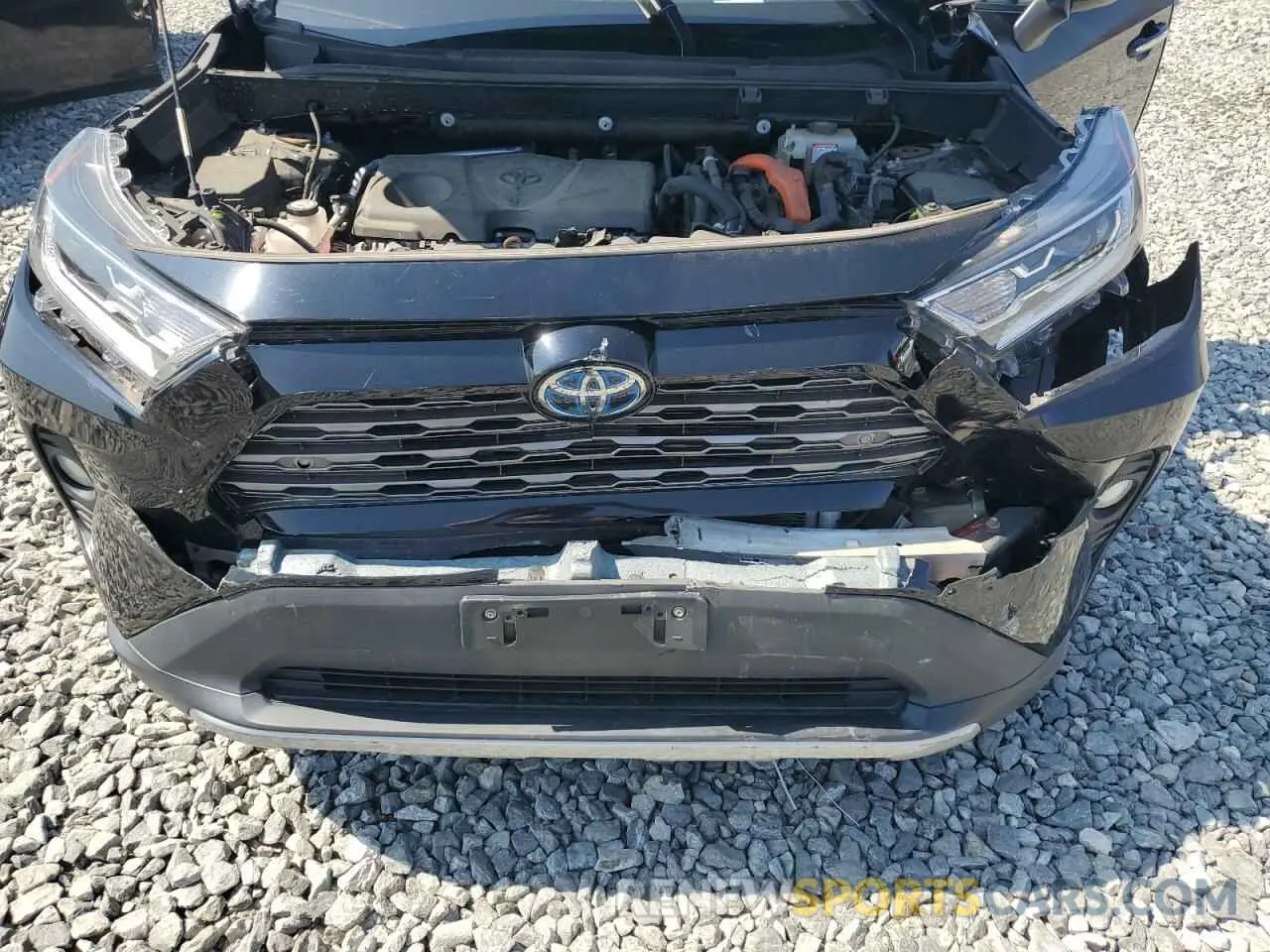 12 fotografías del automóvil dañado 2T3DWRFV6KW023515 TOYOTA RAV4 2019