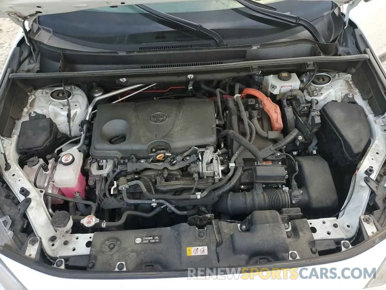 12 fotografías del automóvil dañado 2T3EWRFV2KW003413 TOYOTA RAV4 2019
