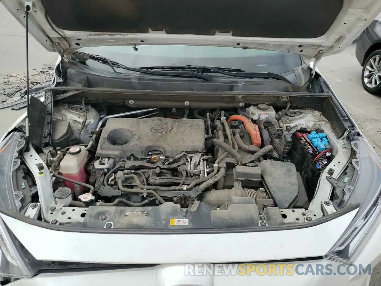 12 fotografías del automóvil dañado 2T3EWRFV7KW031840 TOYOTA RAV4 2019