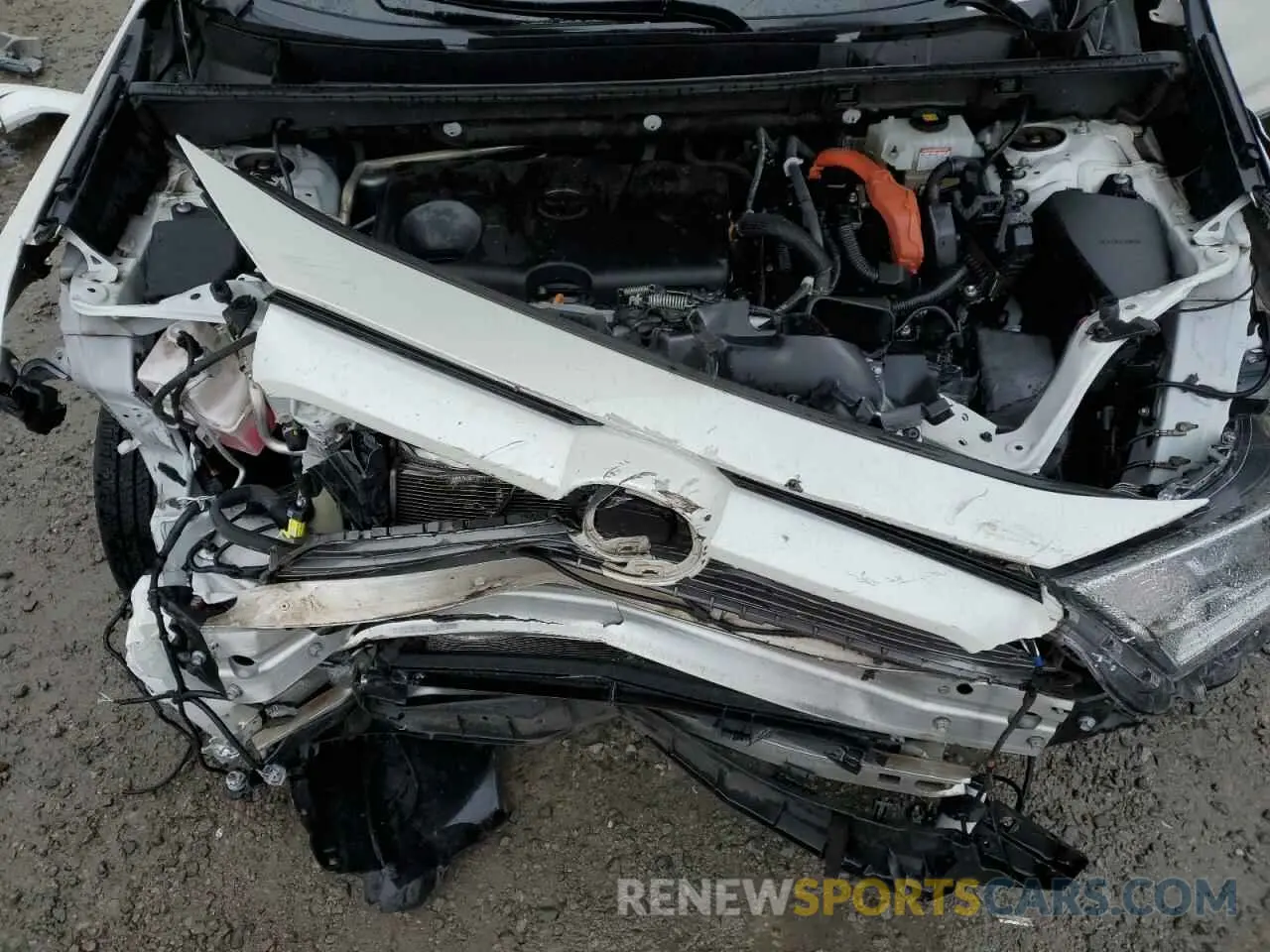 12 fotografías del automóvil dañado 2T3EWRFVXKW034442 TOYOTA RAV4 2019