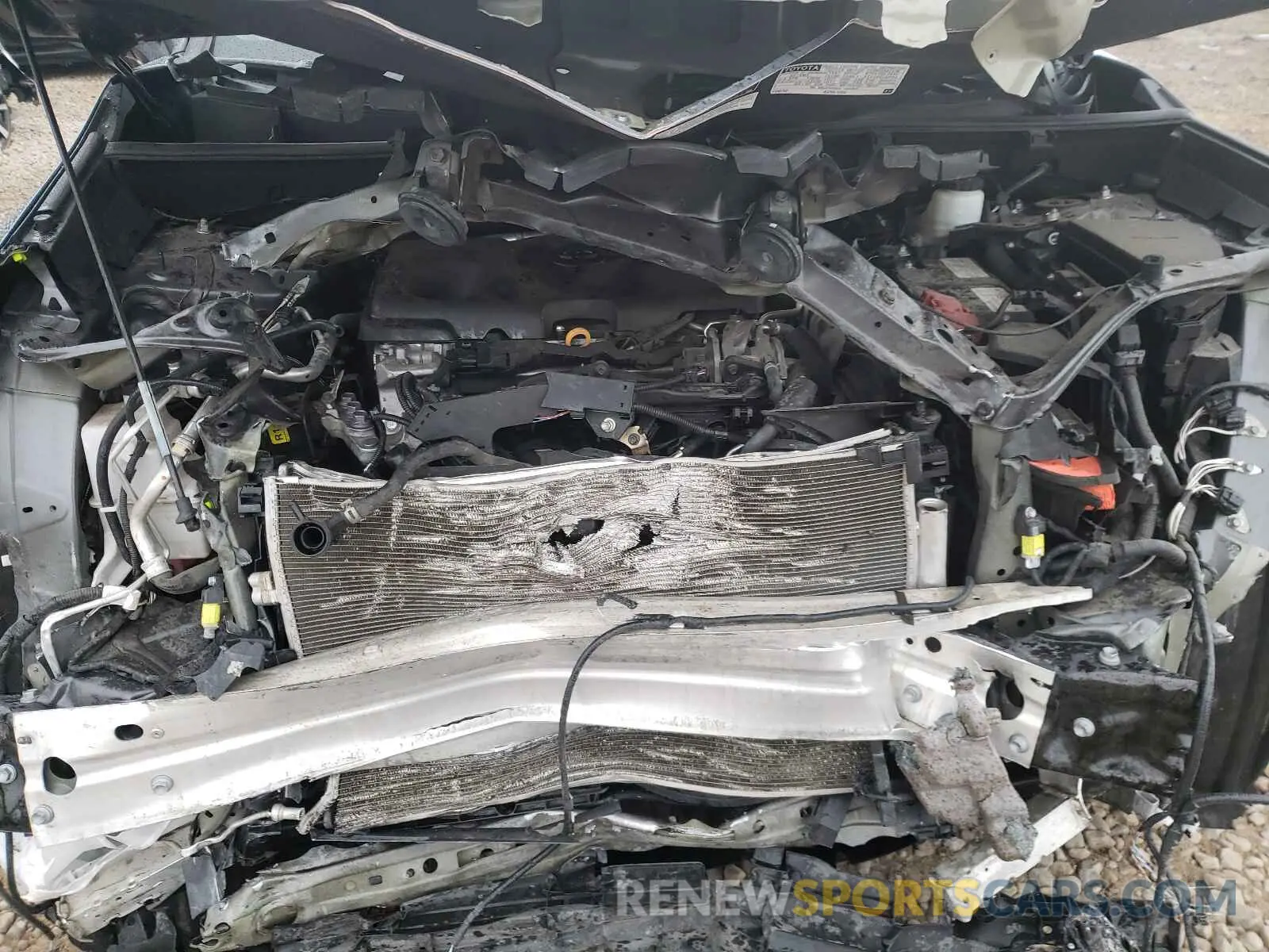7 fotografías del automóvil dañado 2T3F1RFV1KW032551 TOYOTA RAV4 2019