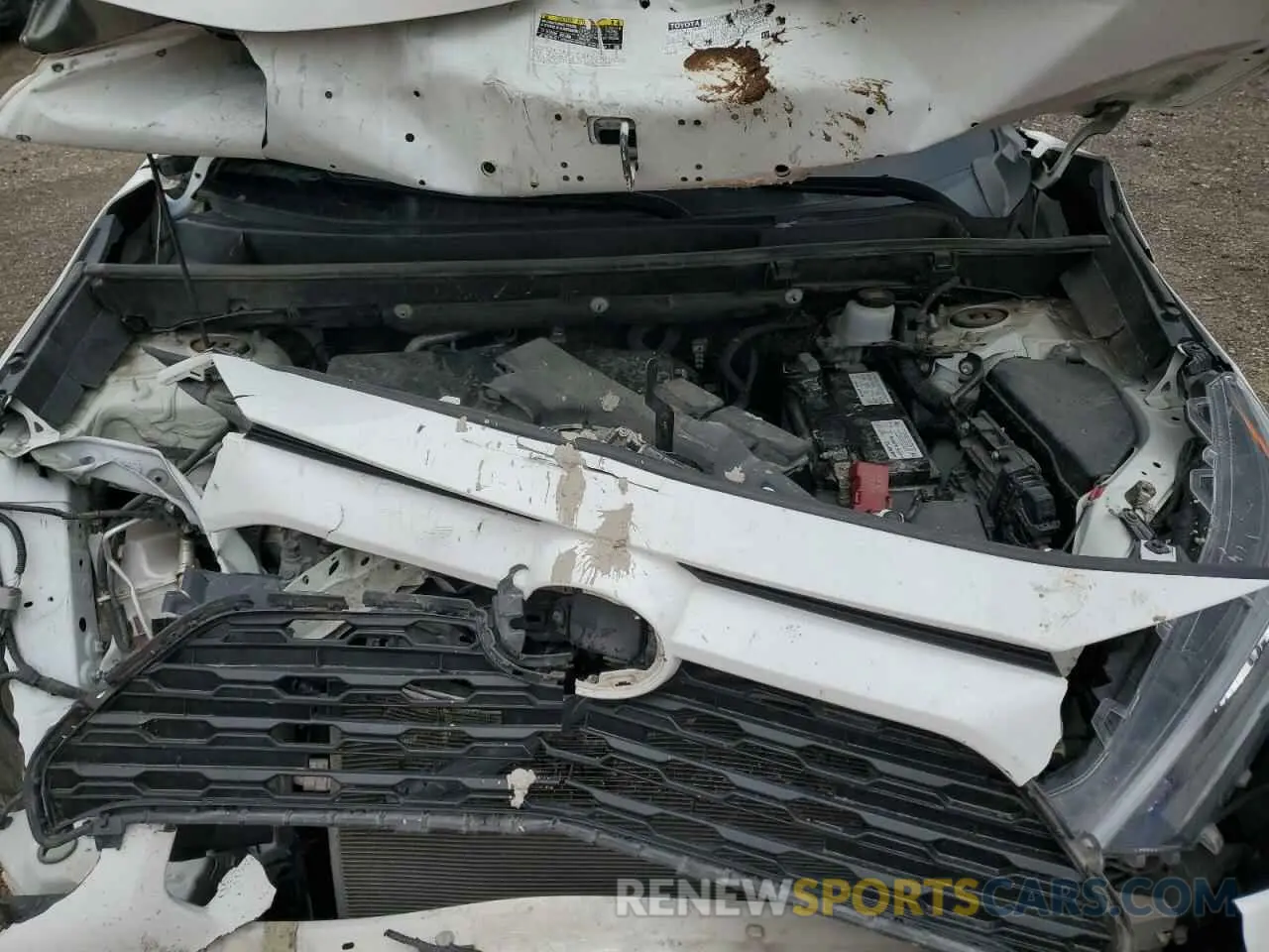 12 fotografías del automóvil dañado 2T3F1RFV5KC029024 TOYOTA RAV4 2019