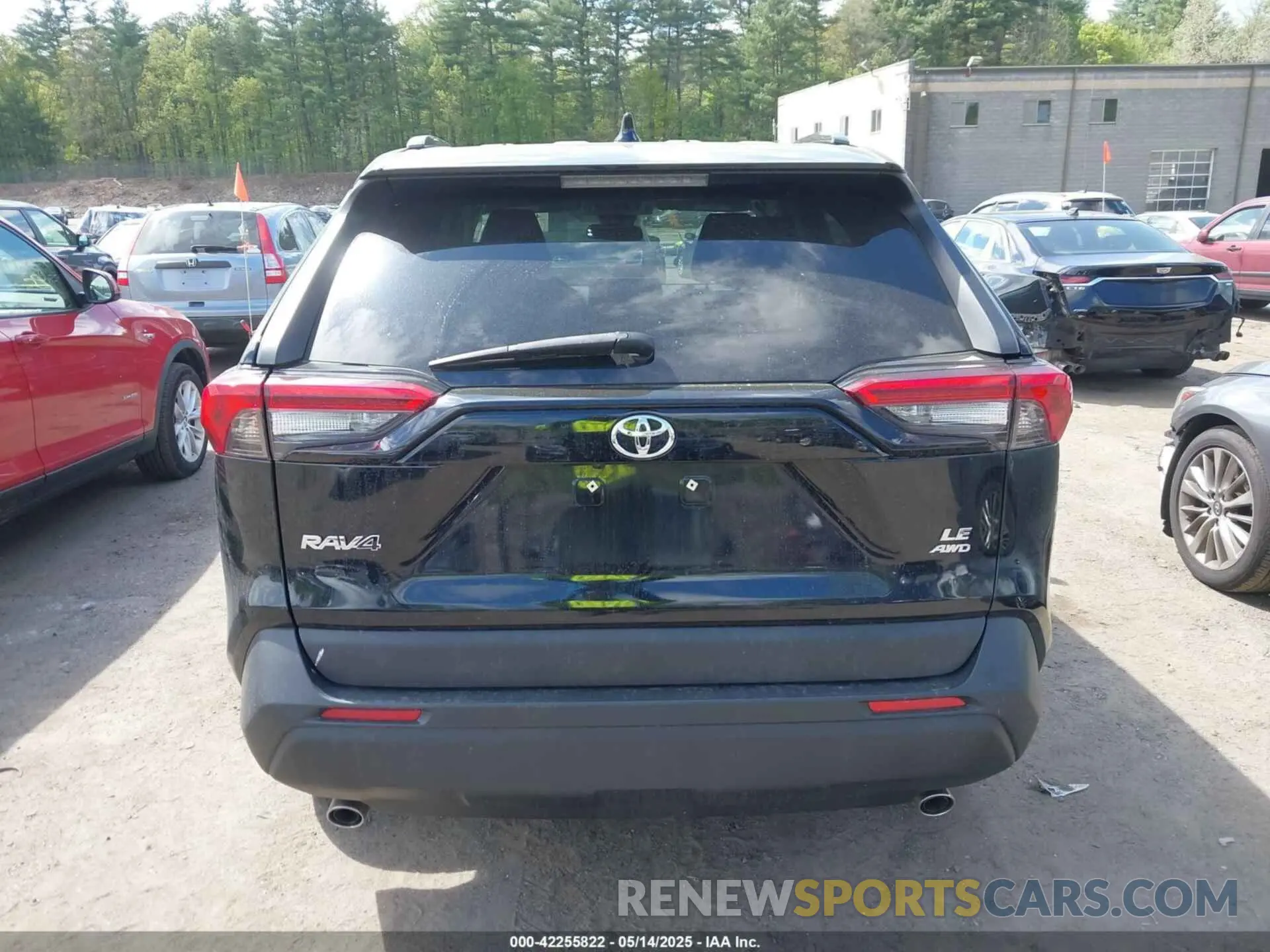 16 fotografías del automóvil dañado 2T3G1RFV6KW031660 TOYOTA RAV4 2019