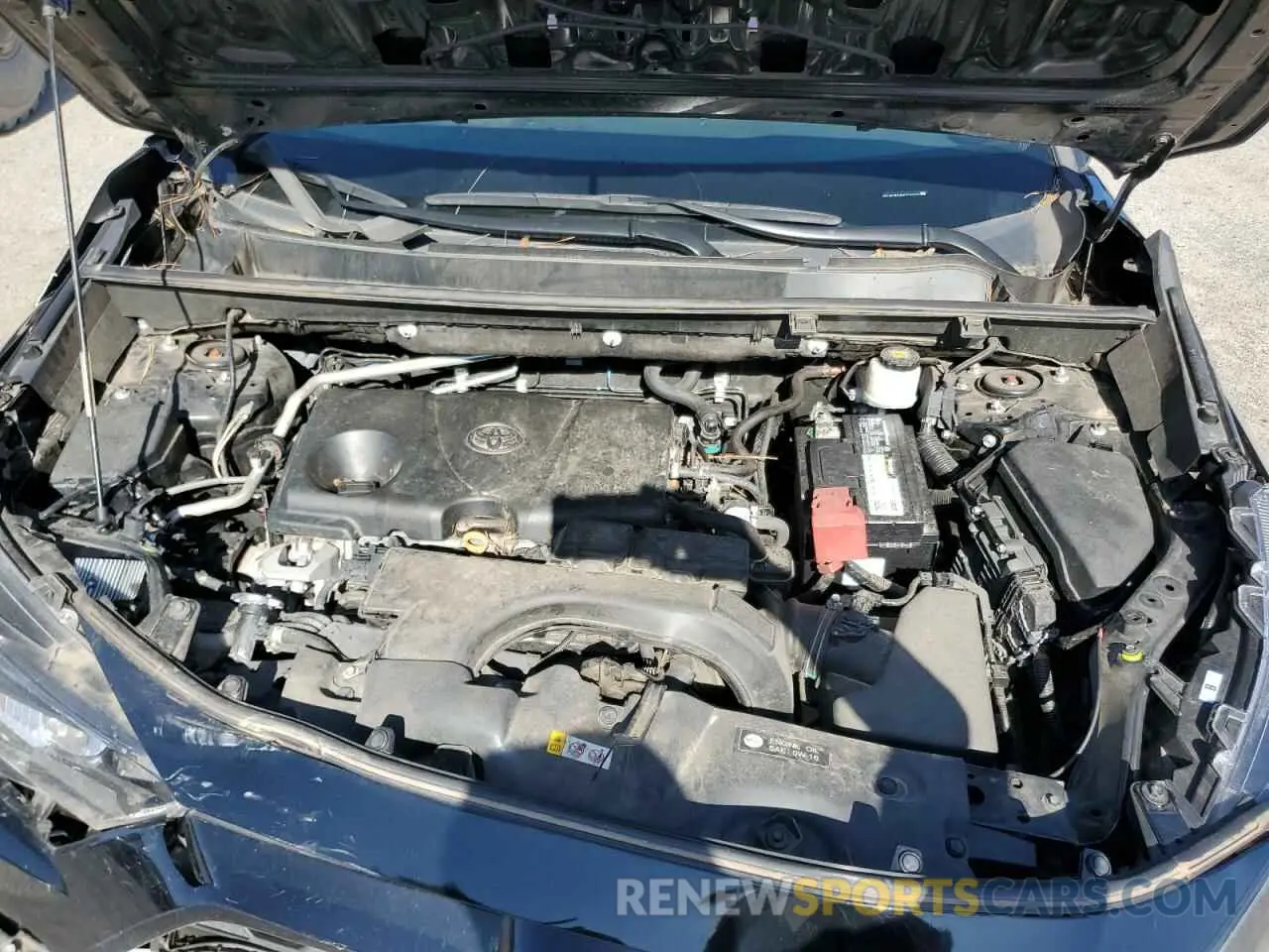 12 fotografías del automóvil dañado 2T3H1RFV6KC020390 TOYOTA RAV4 2019