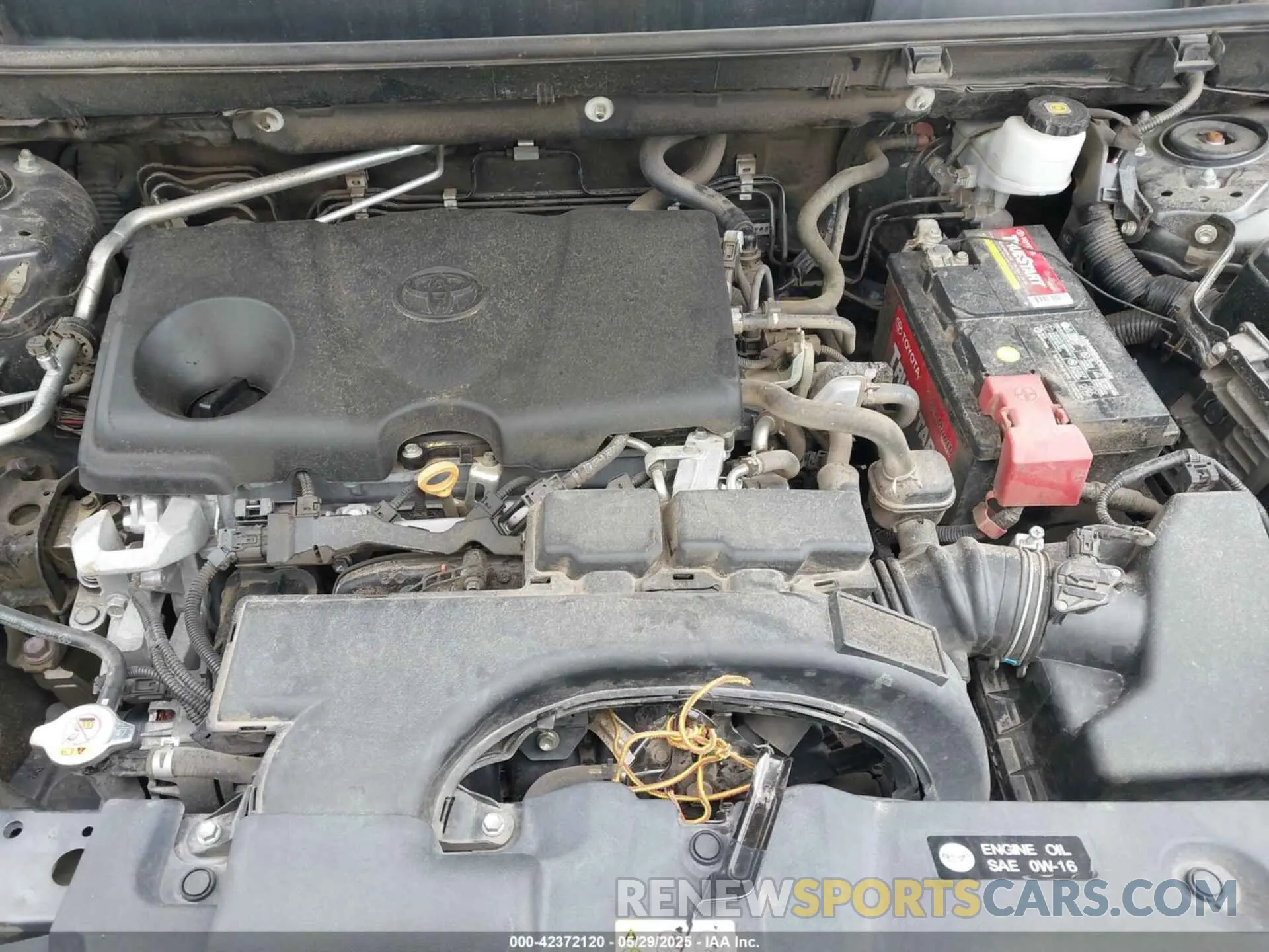 10 fotografías del automóvil dañado 2T3H1RFV7KW032434 TOYOTA RAV4 2019