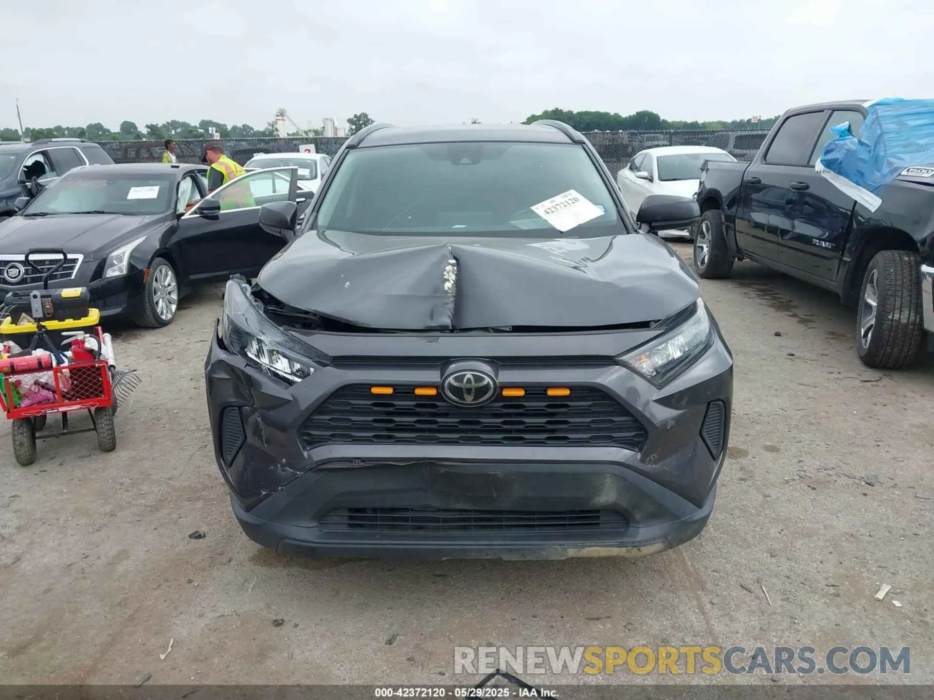 12 fotografías del automóvil dañado 2T3H1RFV7KW032434 TOYOTA RAV4 2019