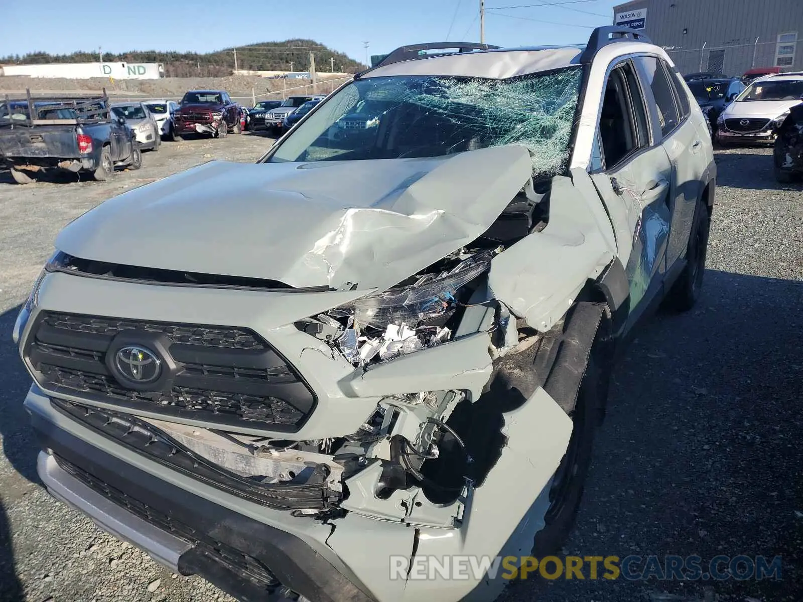 9 fotografías del automóvil dañado 2T3J1RFV0KC023447 TOYOTA RAV4 2019